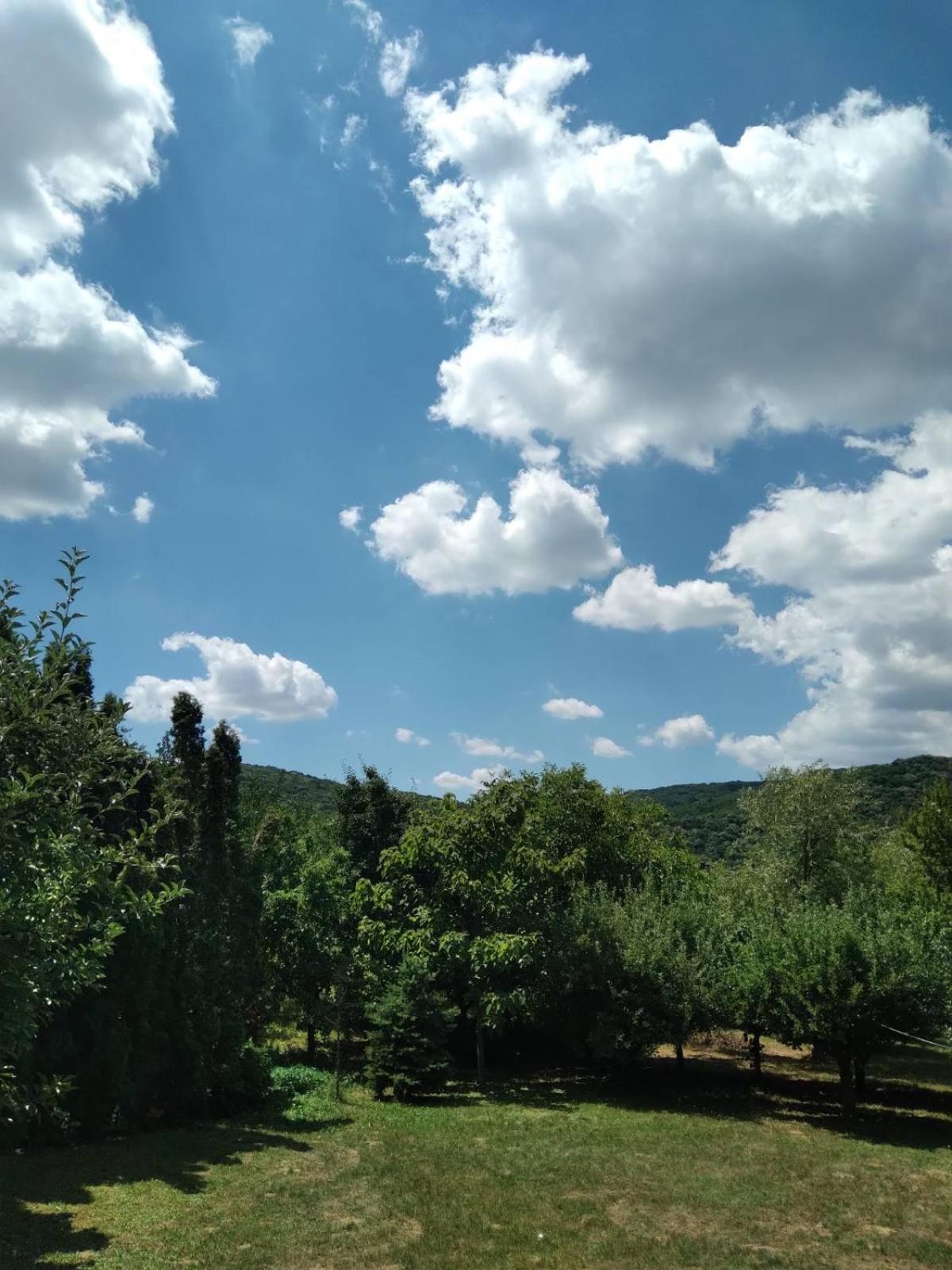 Vila Zvončica view 5
