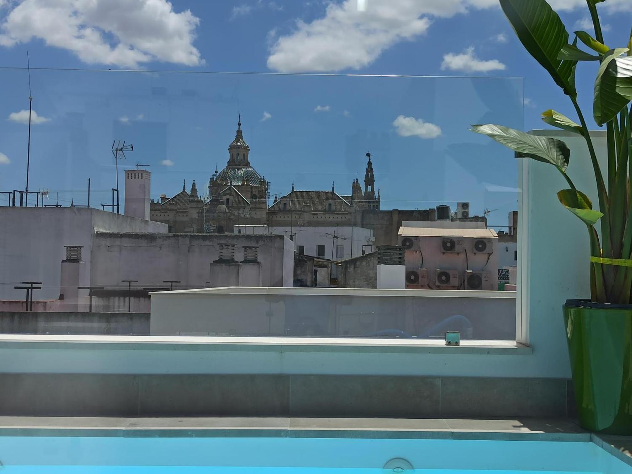 Luxury Penthouse with private pool Setas monument