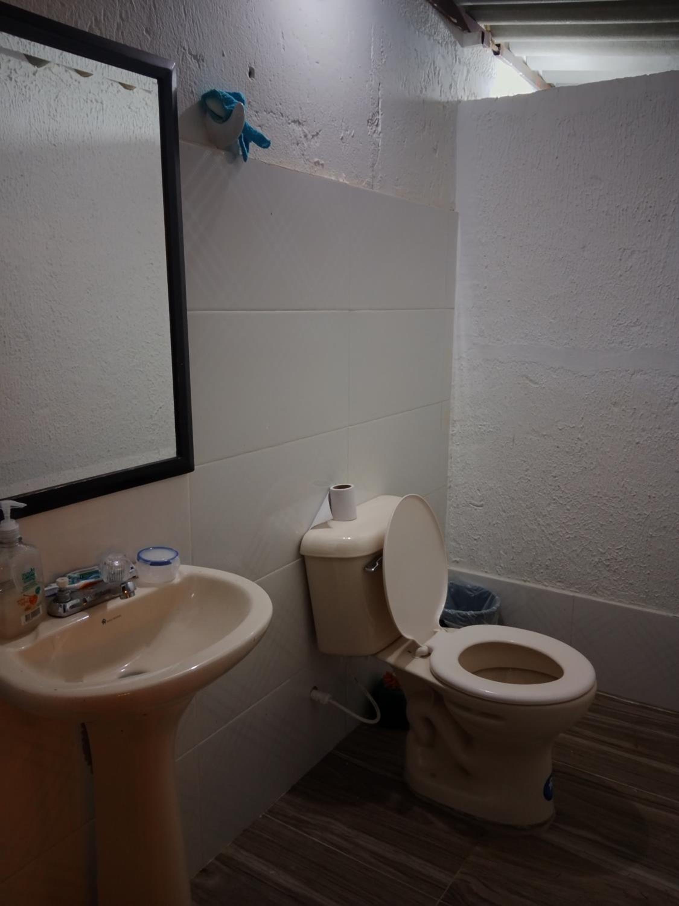 Photo 12