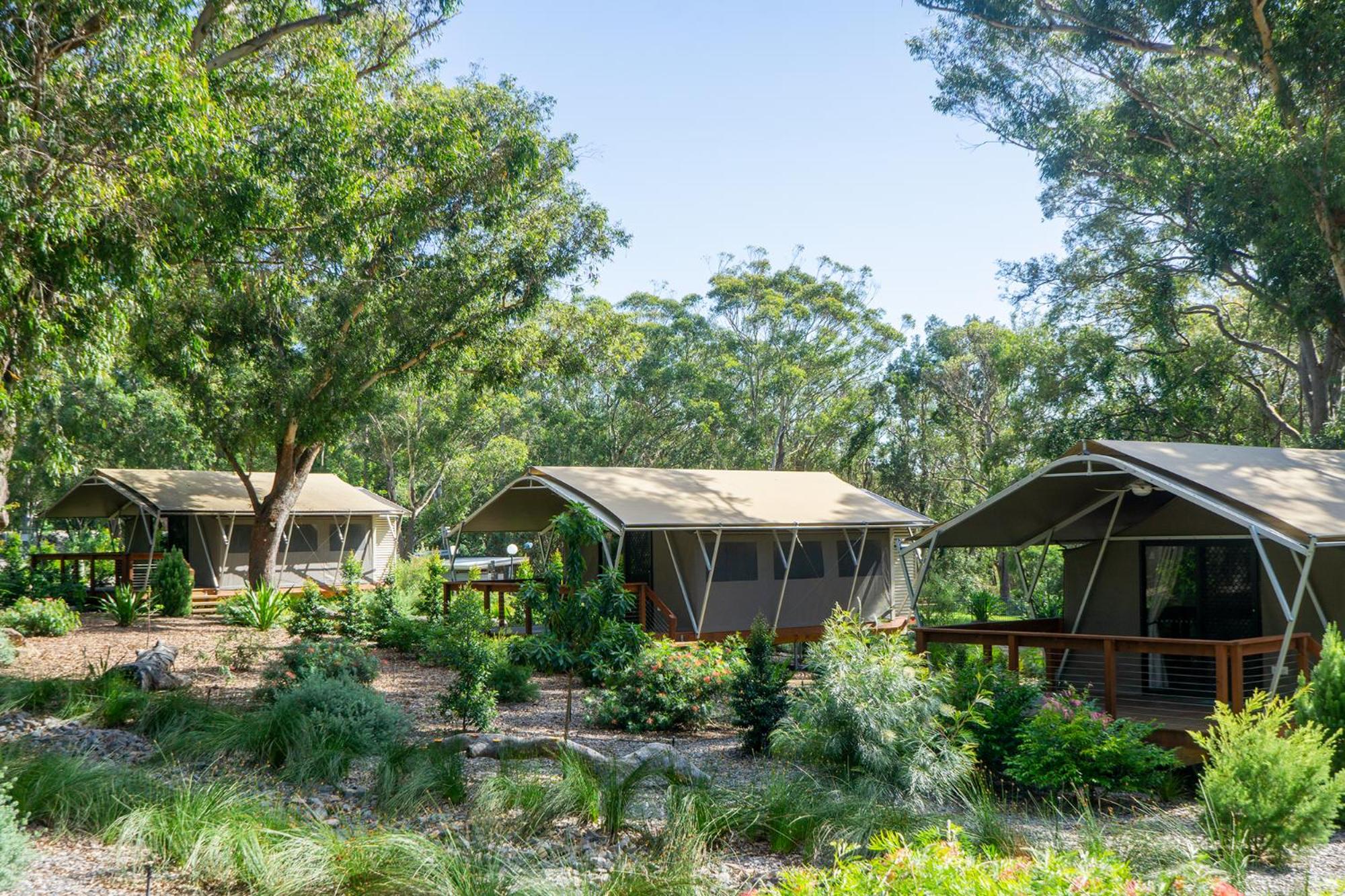 Port Stephens Koala Sanctuary