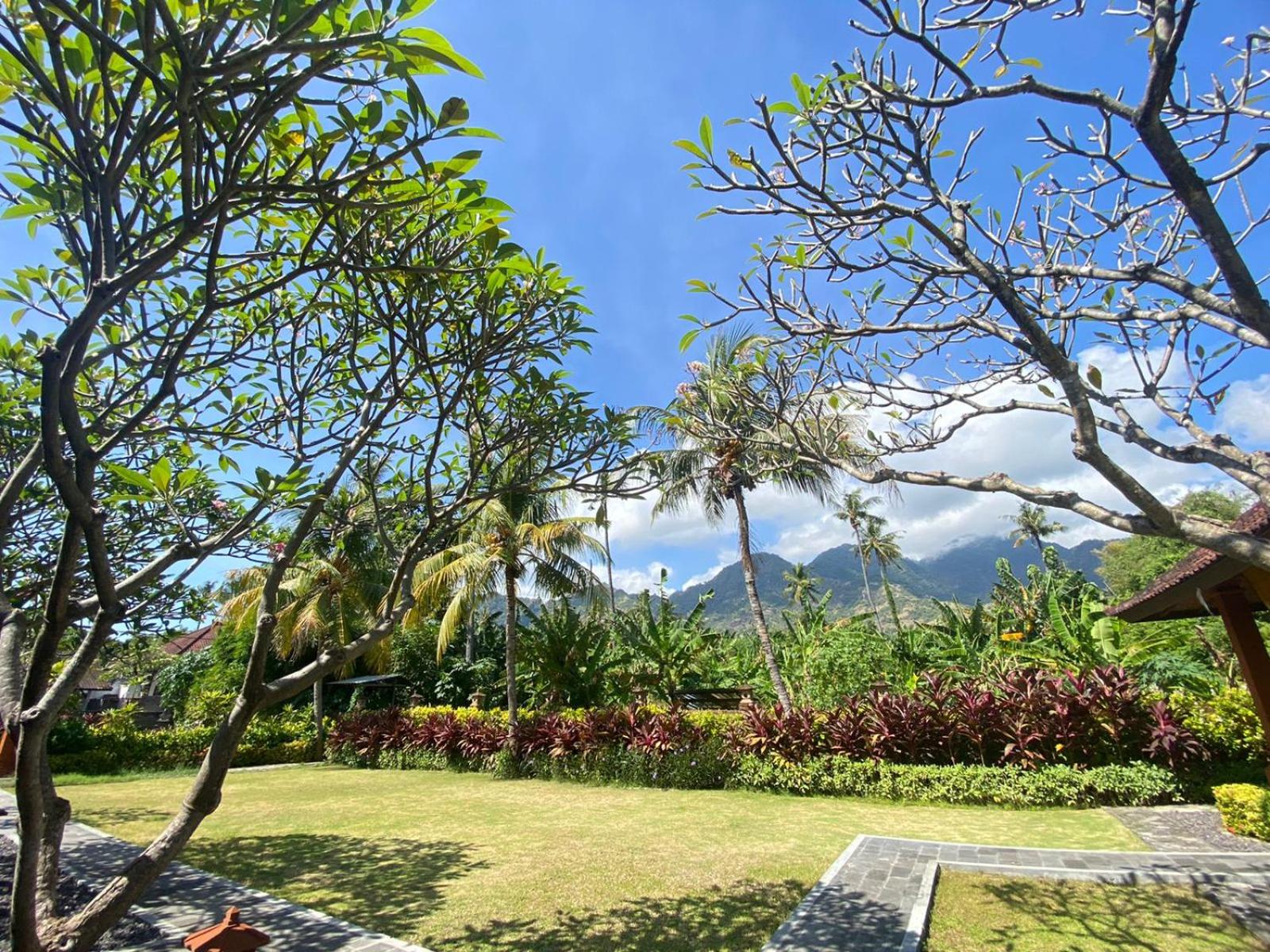 Badini Homestay Pemuteran Bali