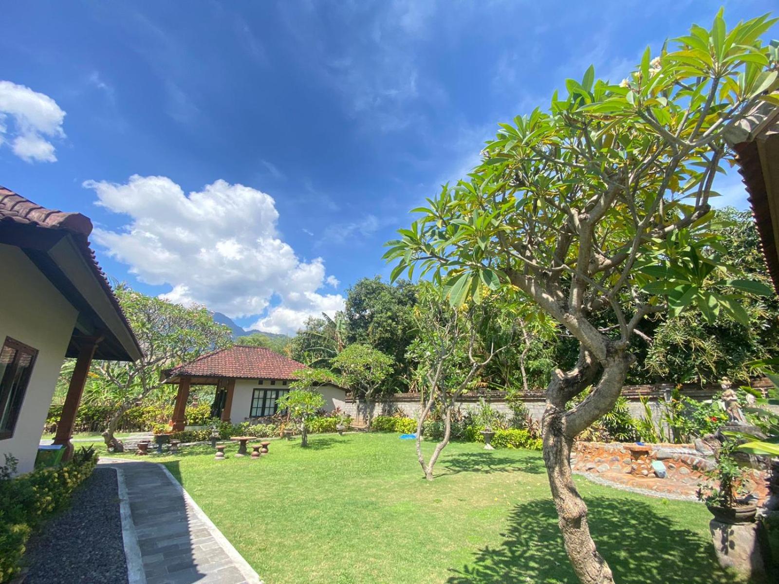 Badini Homestay Pemuteran Bali