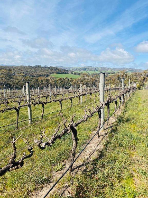 Allusion Farmstay and Vineyard Units
