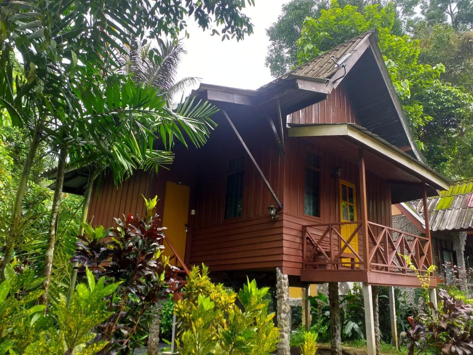 Tree Tops River Huts