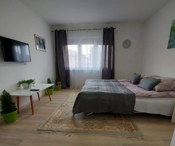 Apartment Panorama