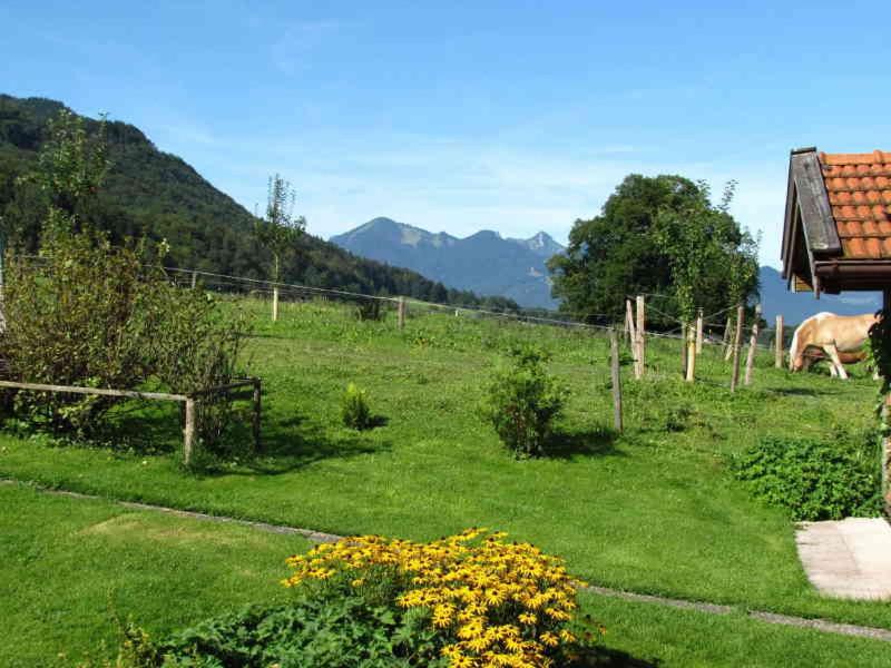 Ferienwohnungen Rosenegger view 3