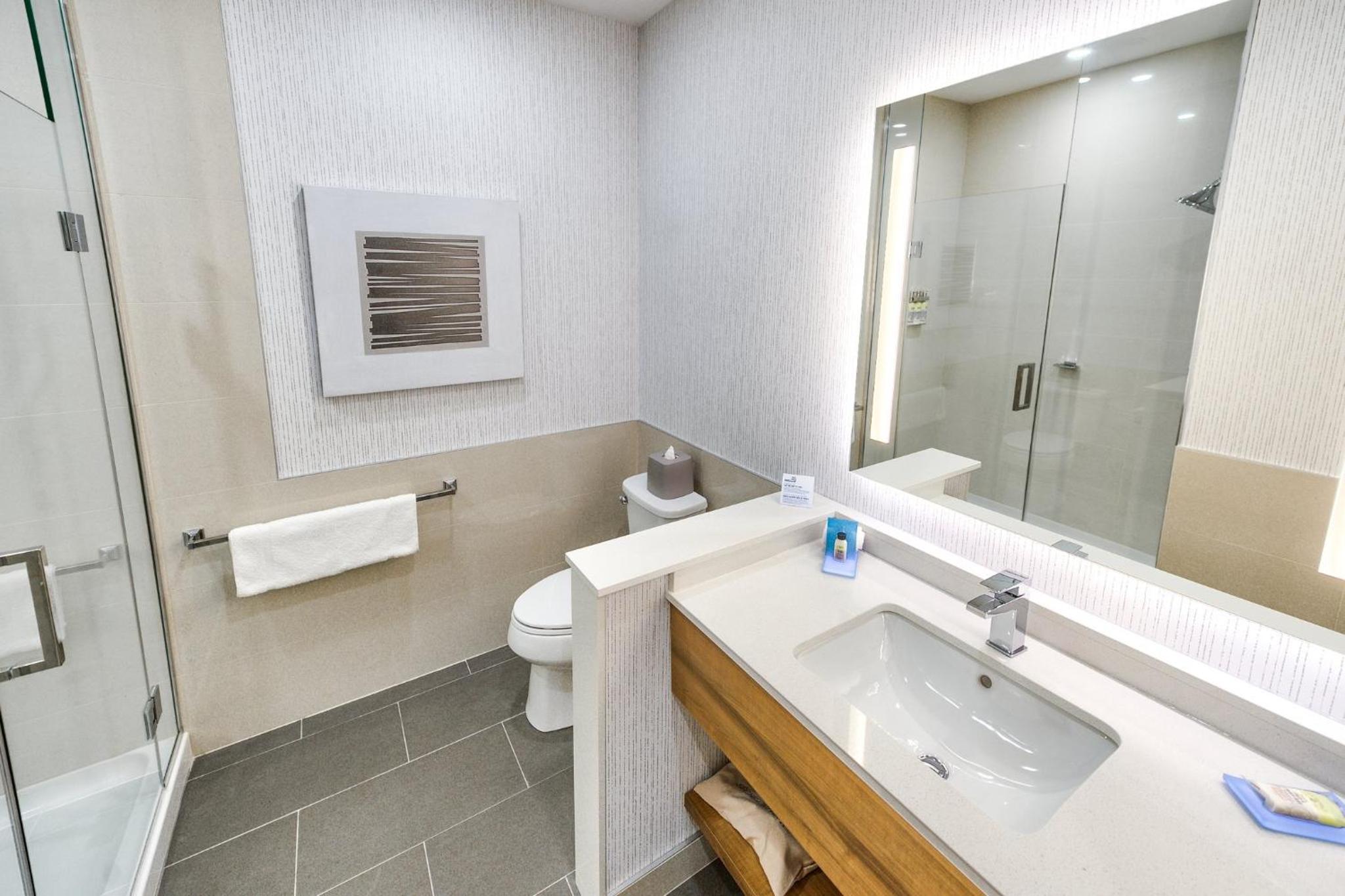 Trois-rivieres Vacations - Holiday Inn Express Suites - Trois Rivieres Ouest, an IHG Hotel - Property Image 40