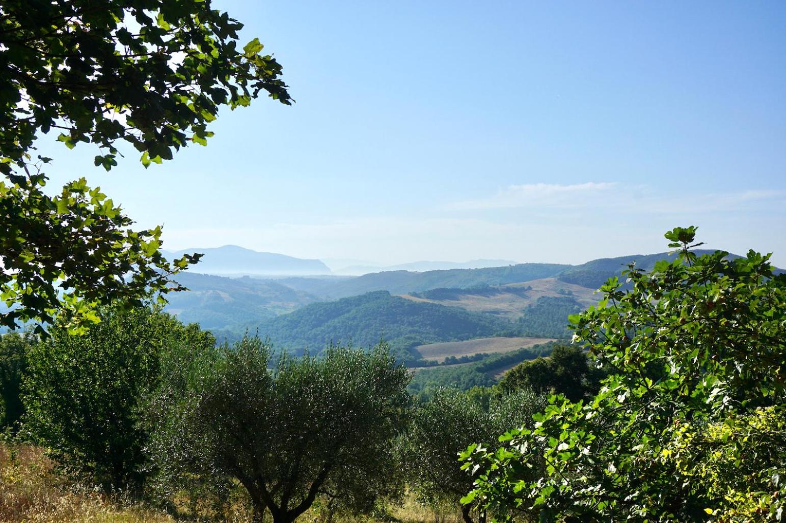 Casale Amerina
