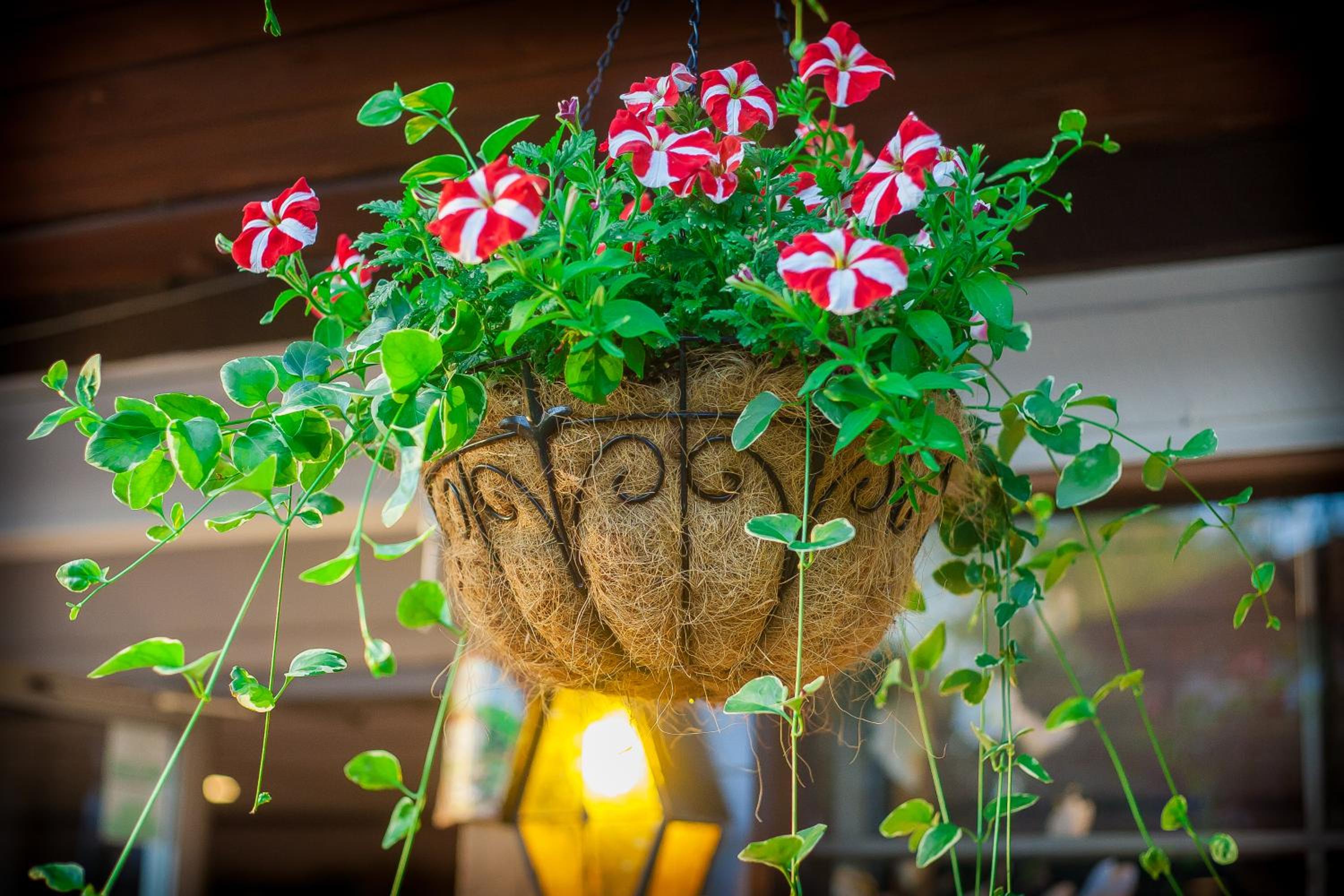 Bavarian Inn, Black Hills