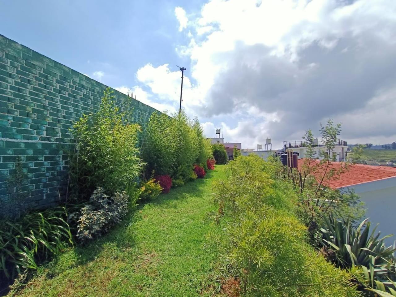 Photo 22