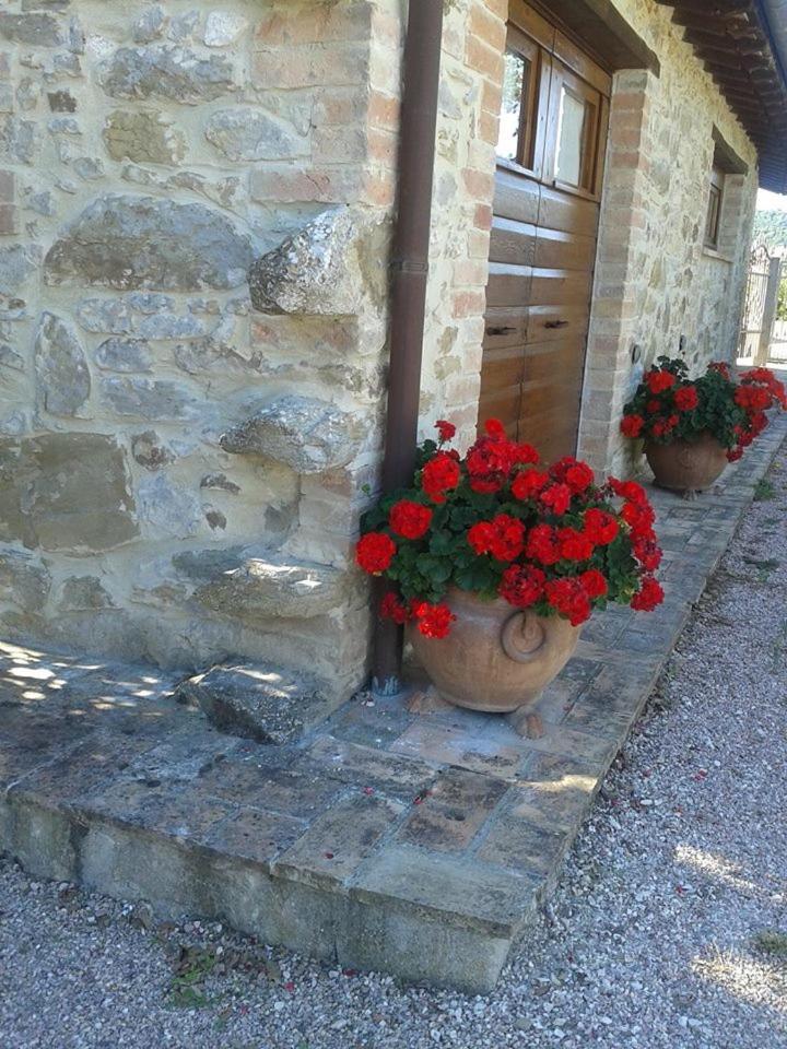 Agriturismo Ripaiani