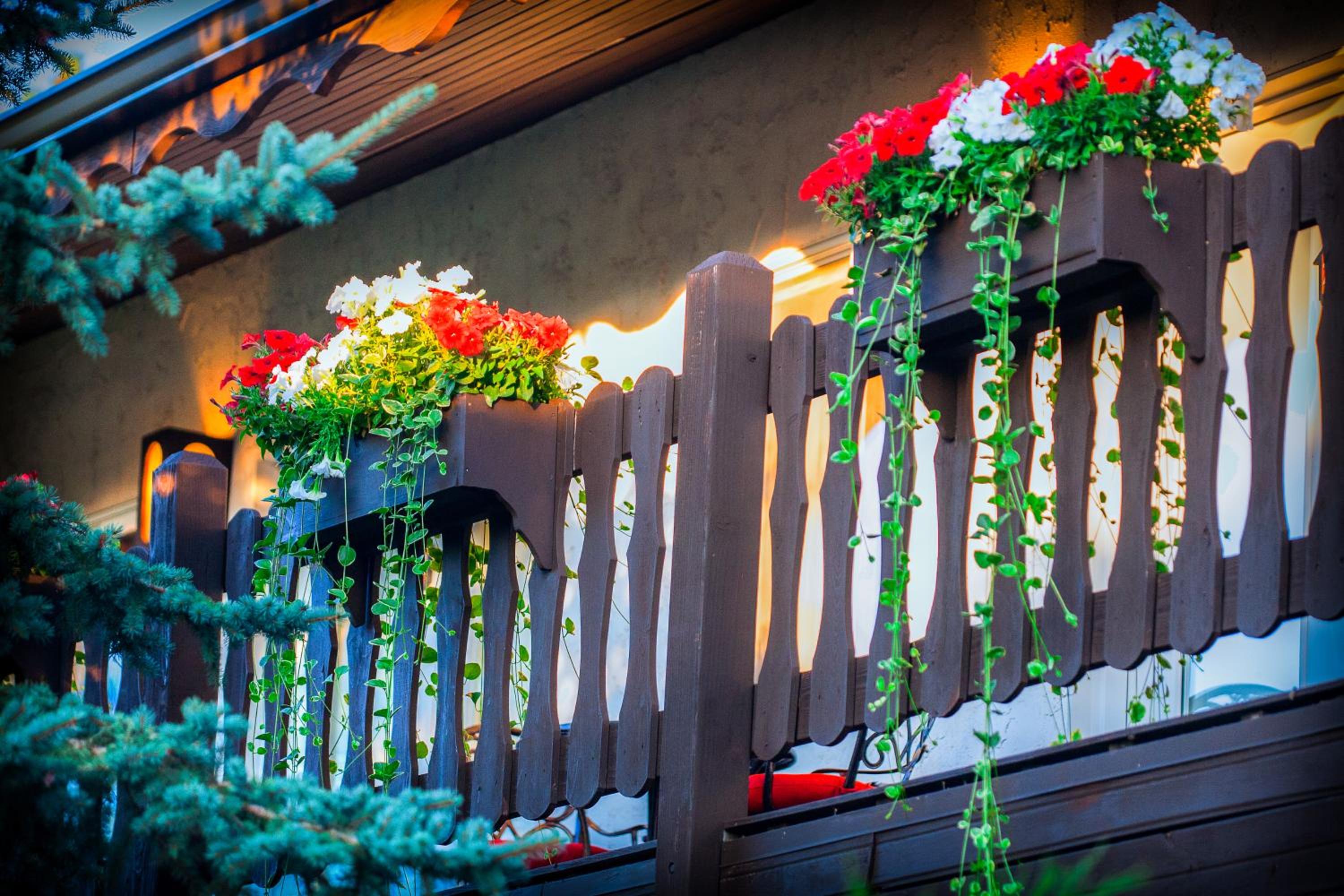 Bavarian Inn, Black Hills