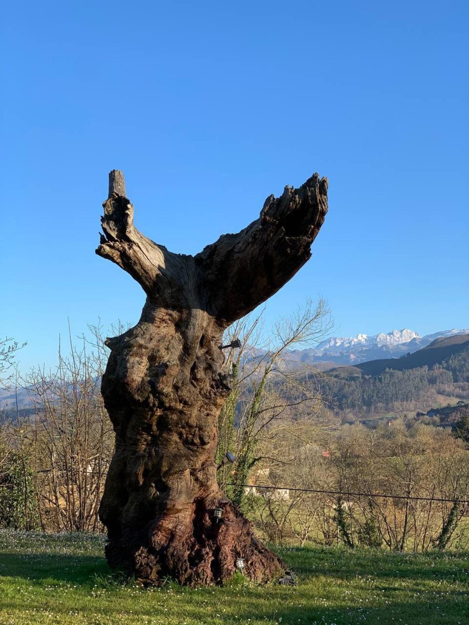 Aptos rurales Mirador Picos de Europa