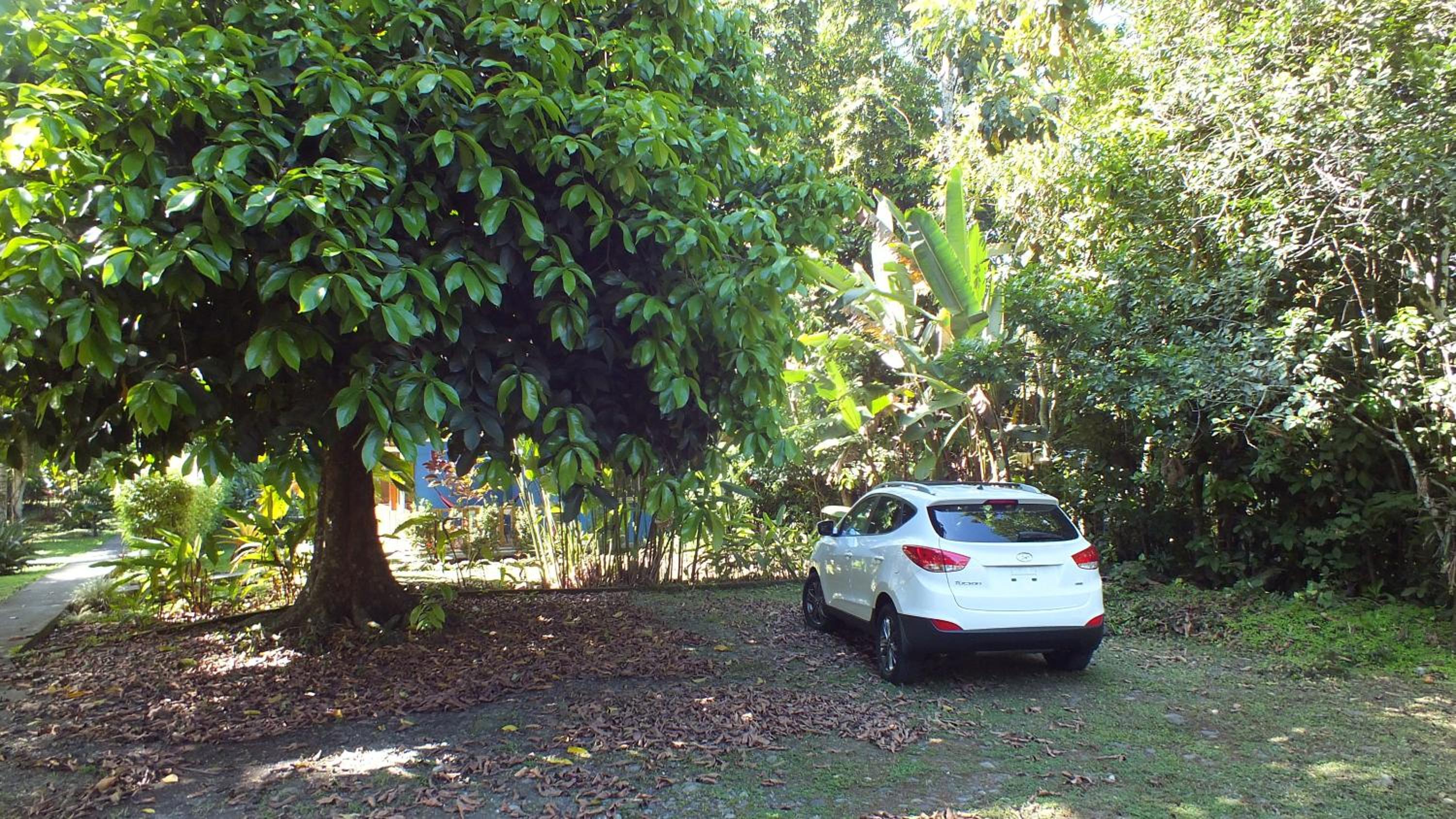 Photo 17