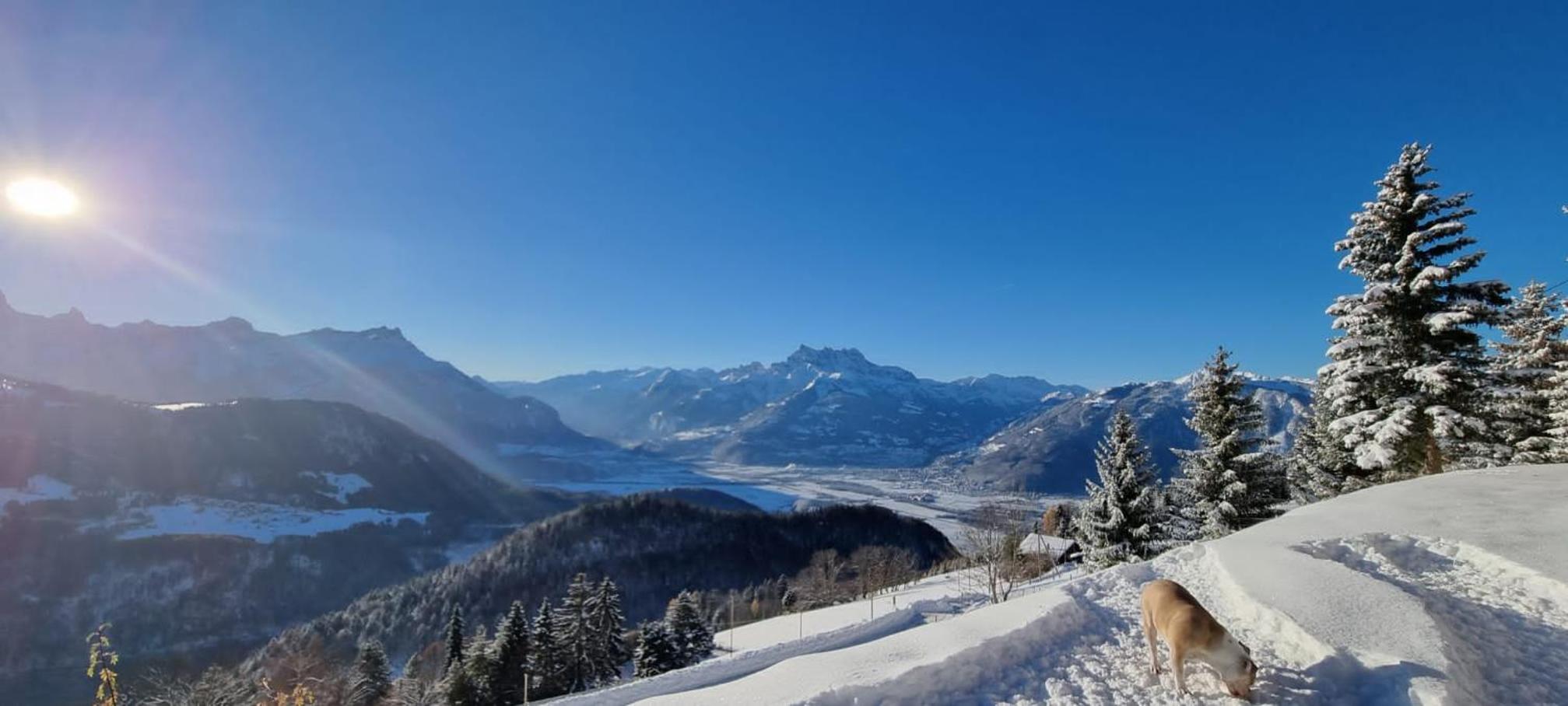 Magical Hideaway view 5