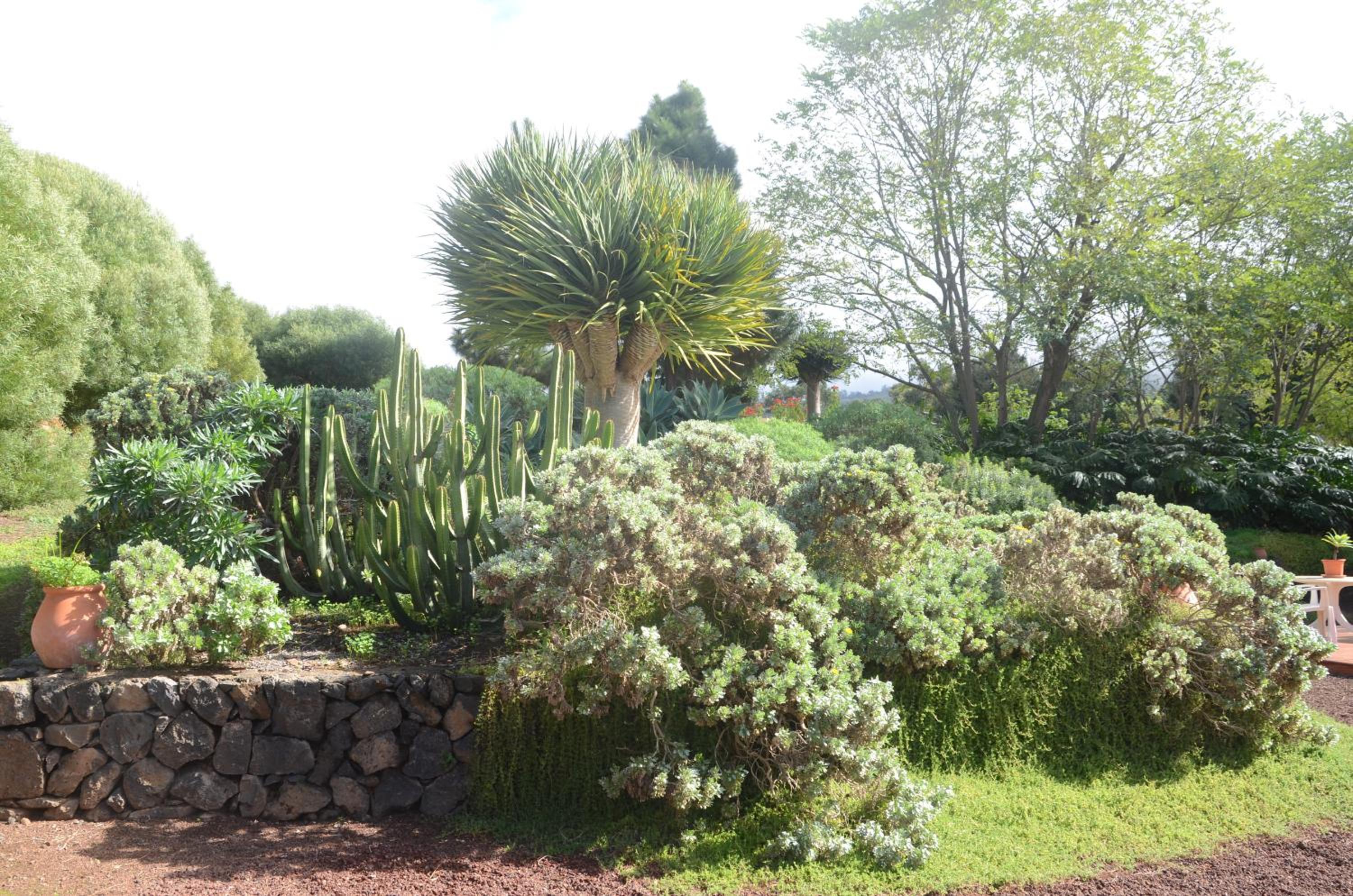 Casa Rural El Adelantado view 4