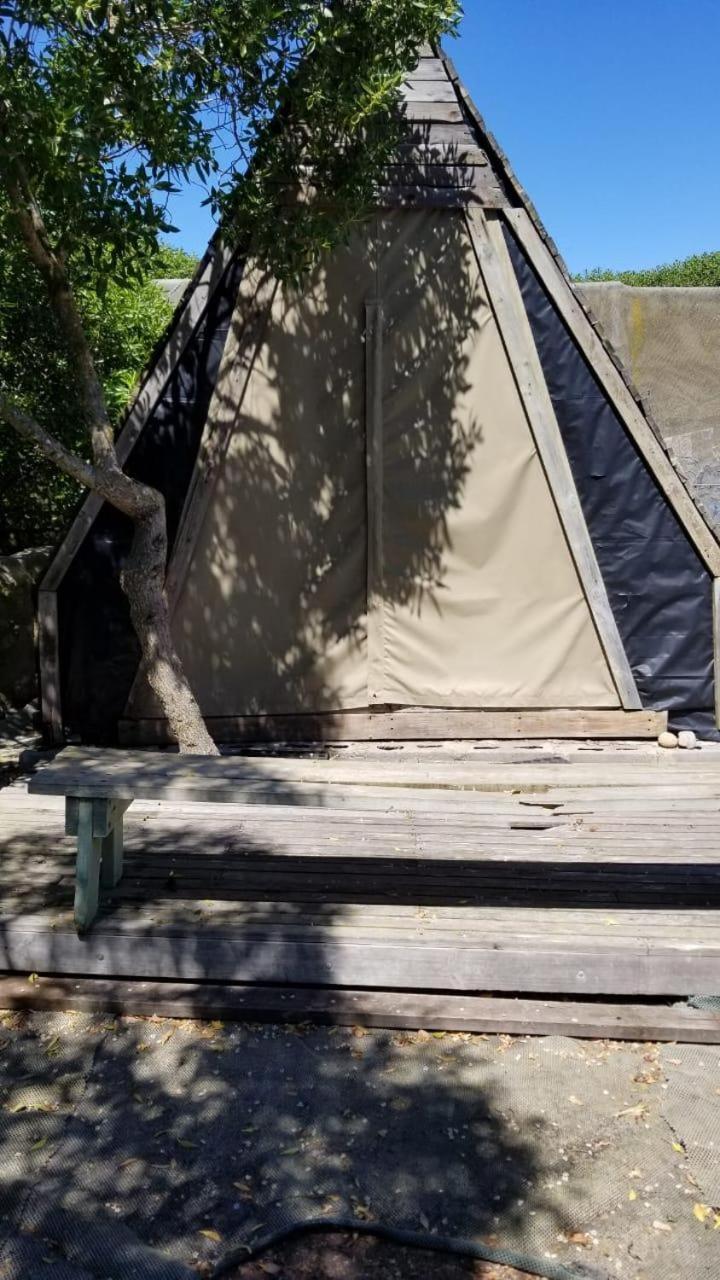 The Plot West Coast Style Glamping & Accommodation view 3