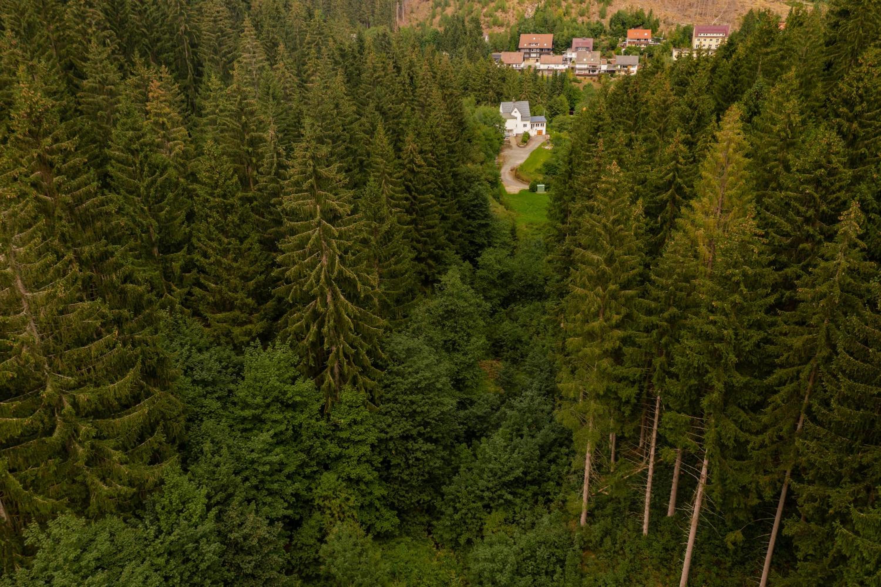 Villa Hoheneck