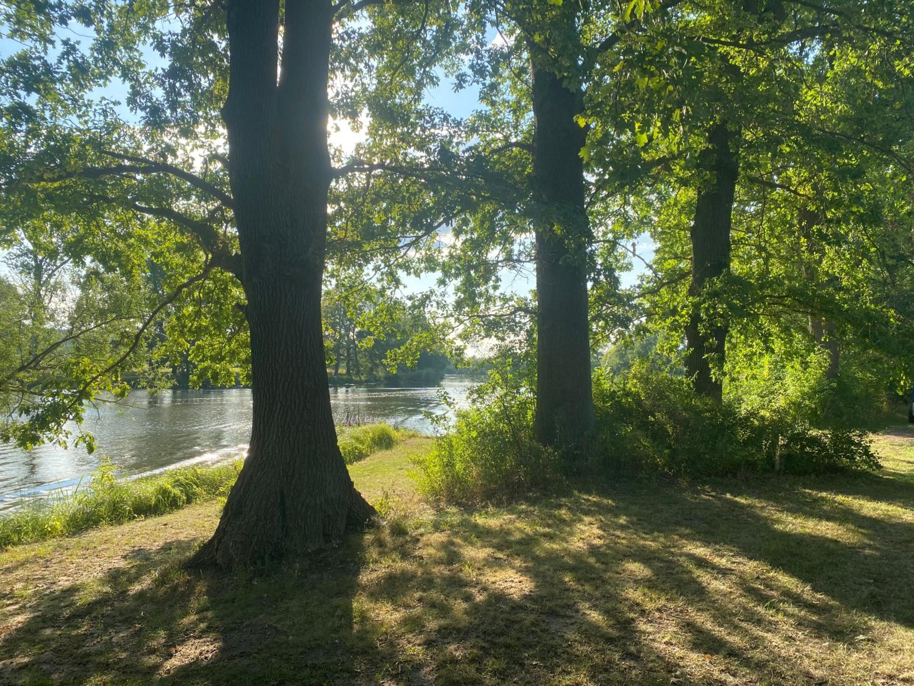 Villa Schuwardt auf Nordend
