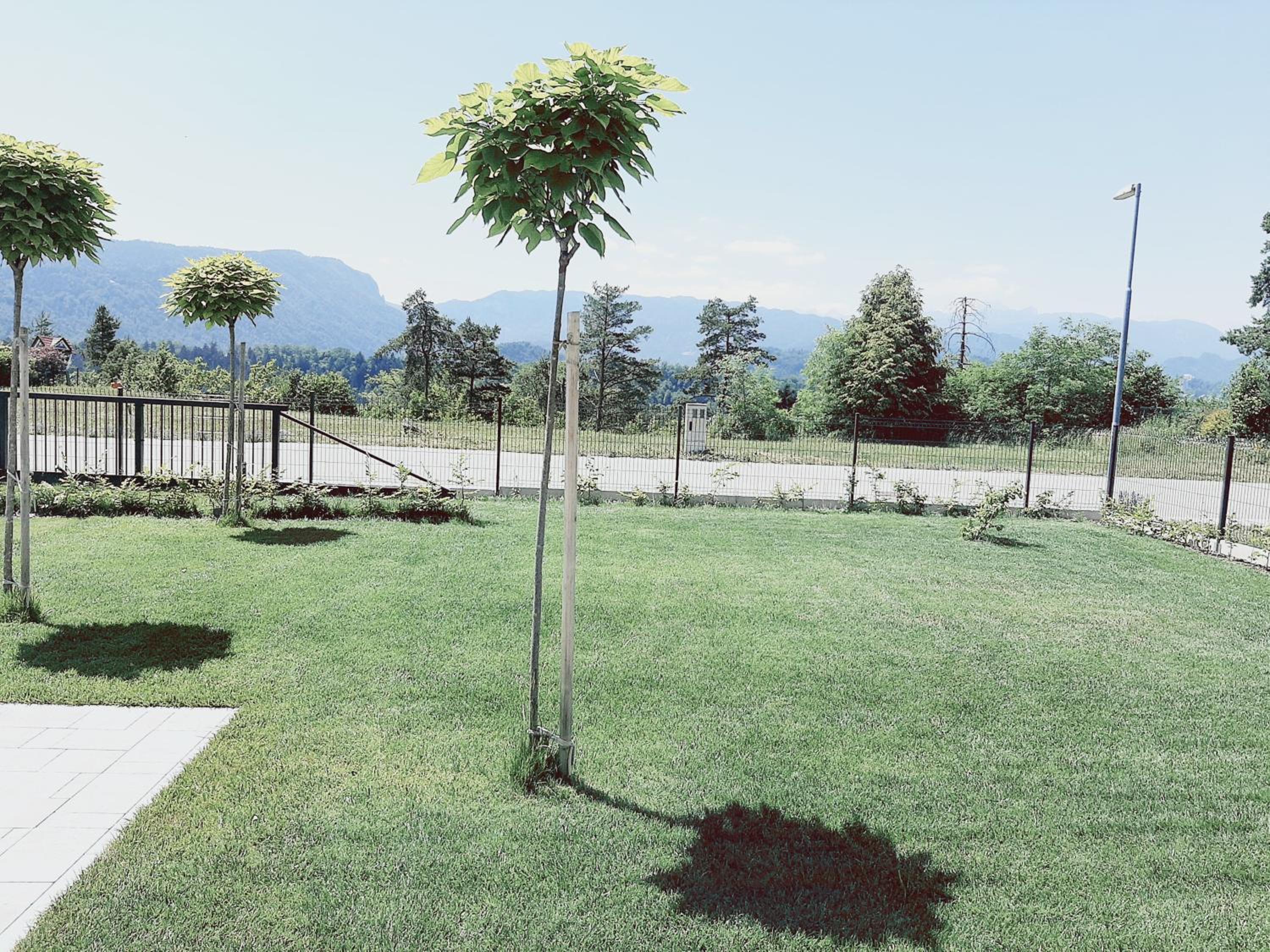 Green Bee Apartment view 4