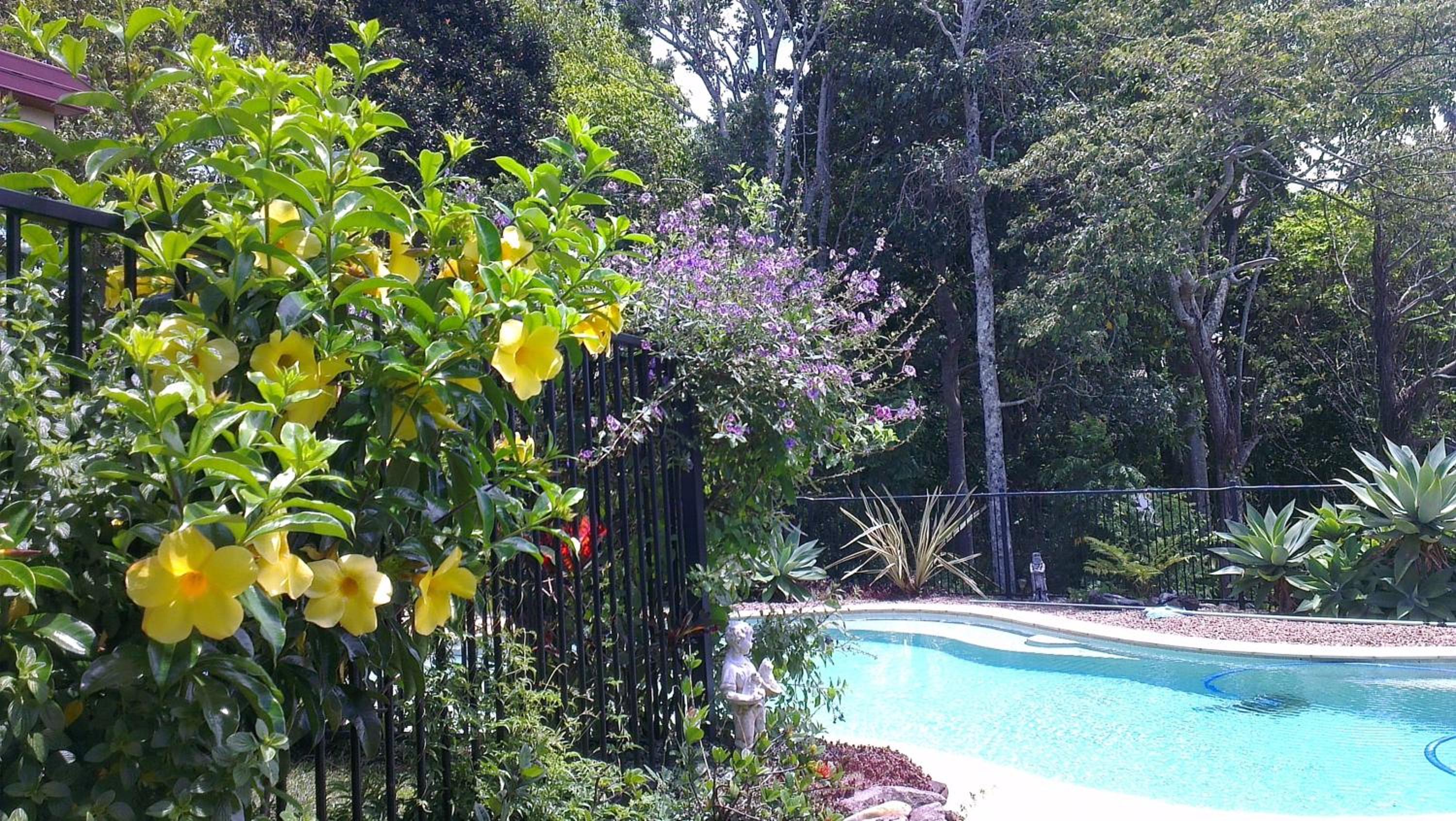 Tropical Coast Retreat - Pet Friendly - Adult only