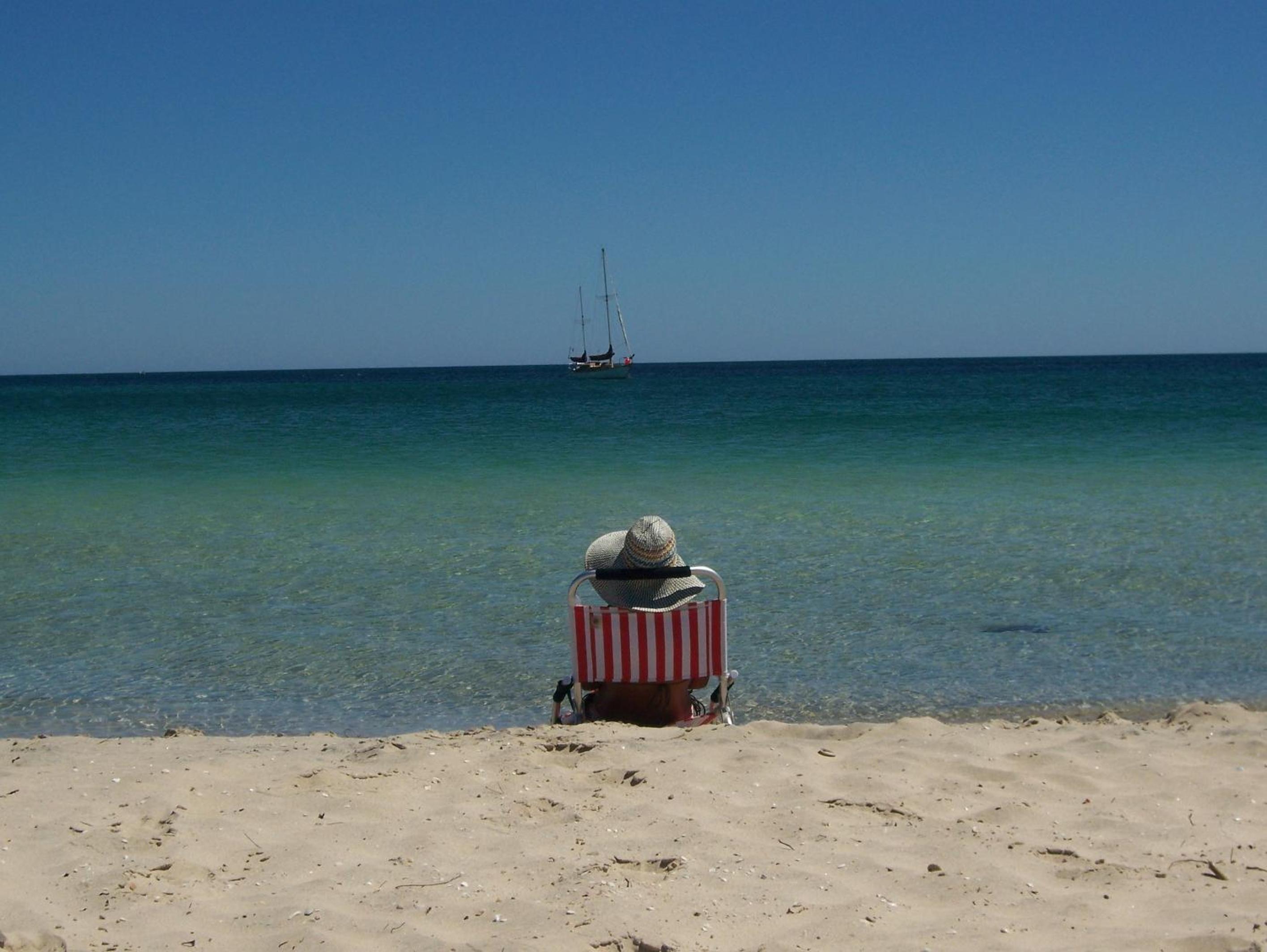 Tropical Coast Retreat - Pet Friendly - Adult only