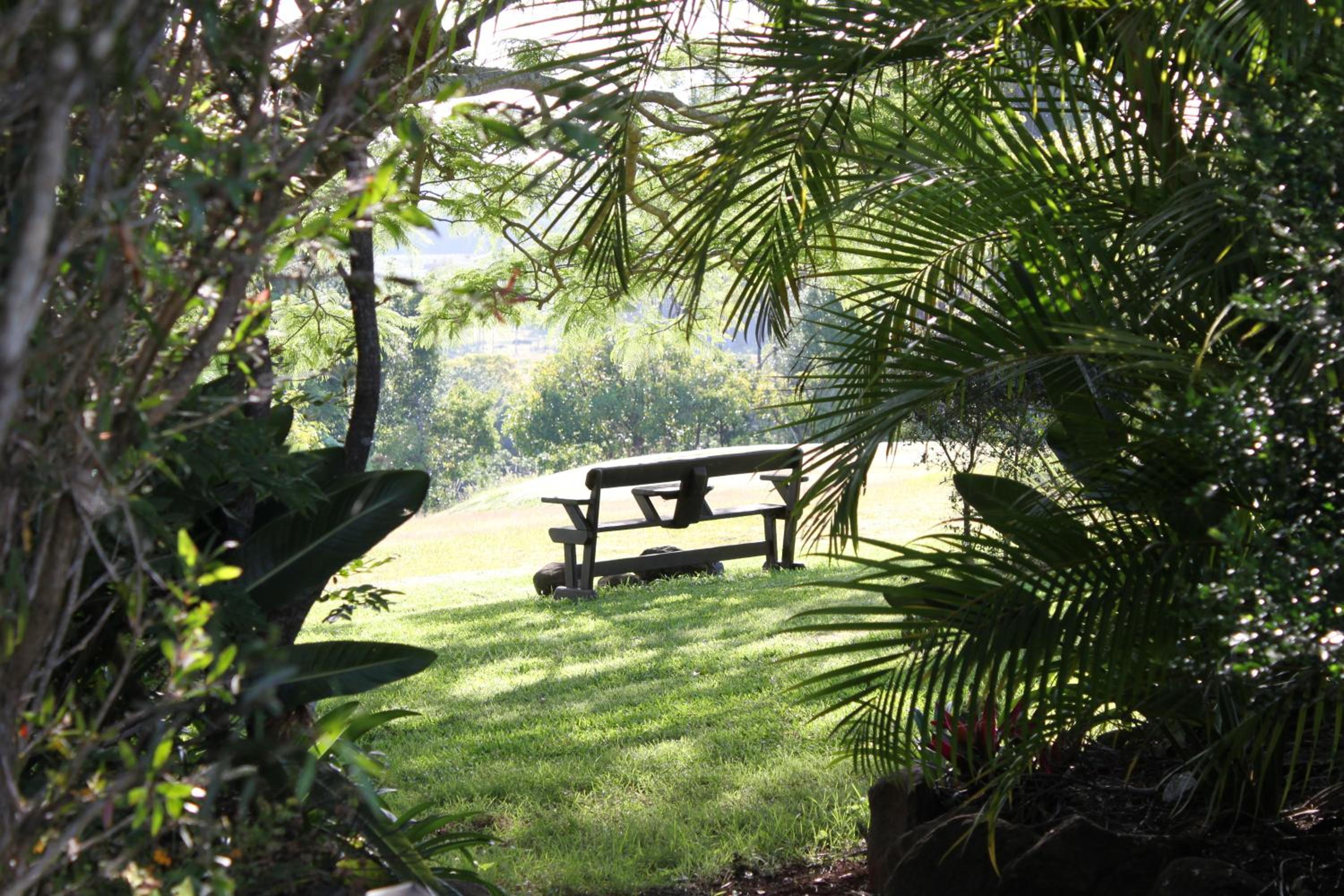 Tropical Coast Retreat - Pet Friendly - Adult only