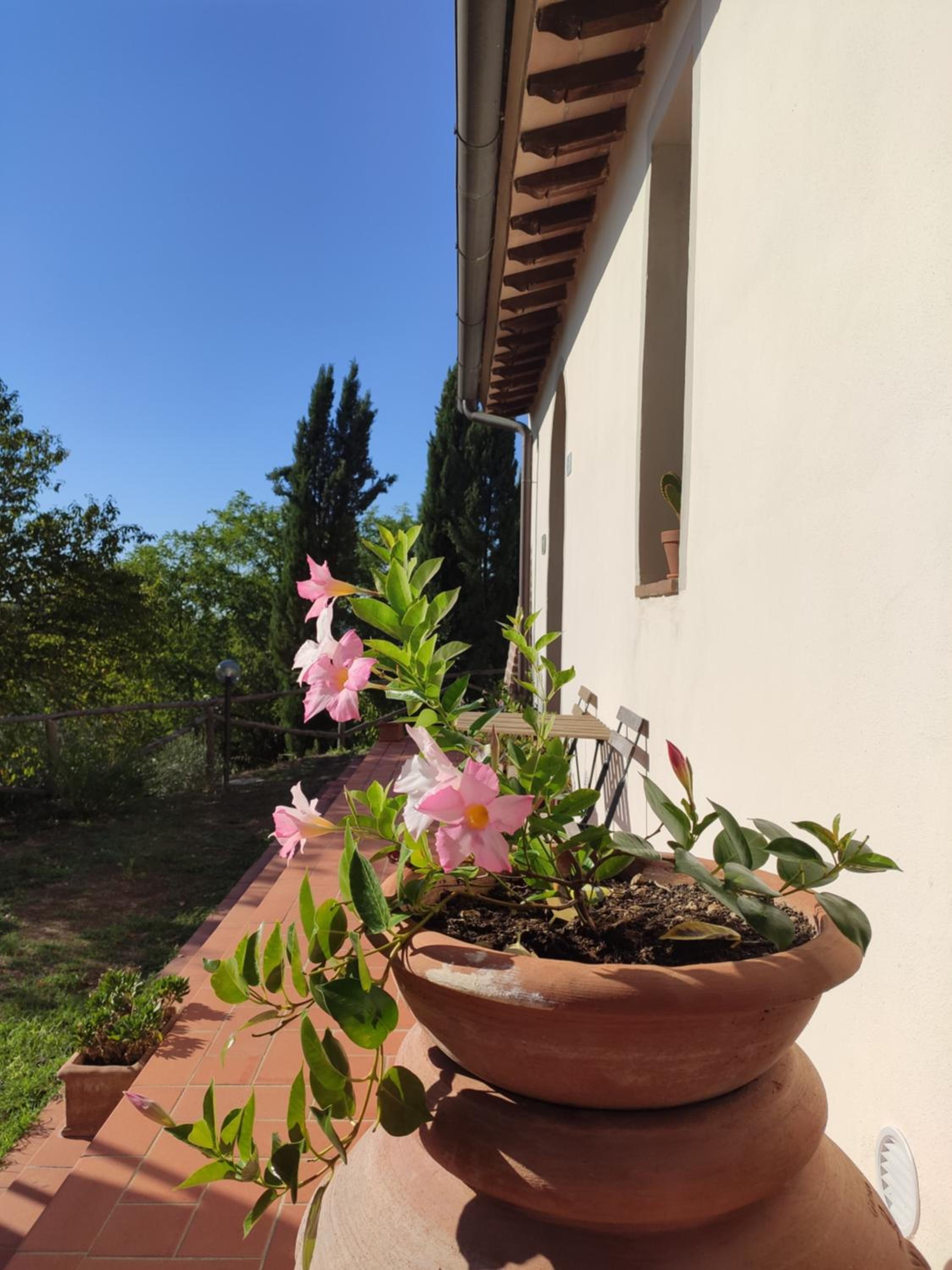 Podere Borgaruccio