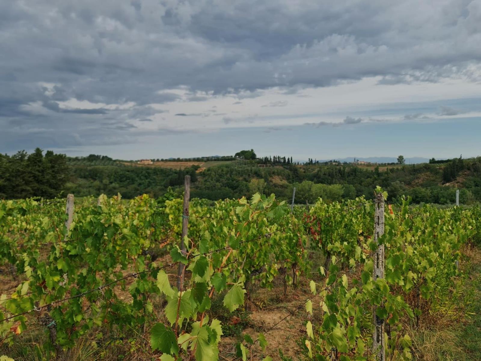 Podere Borgaruccio