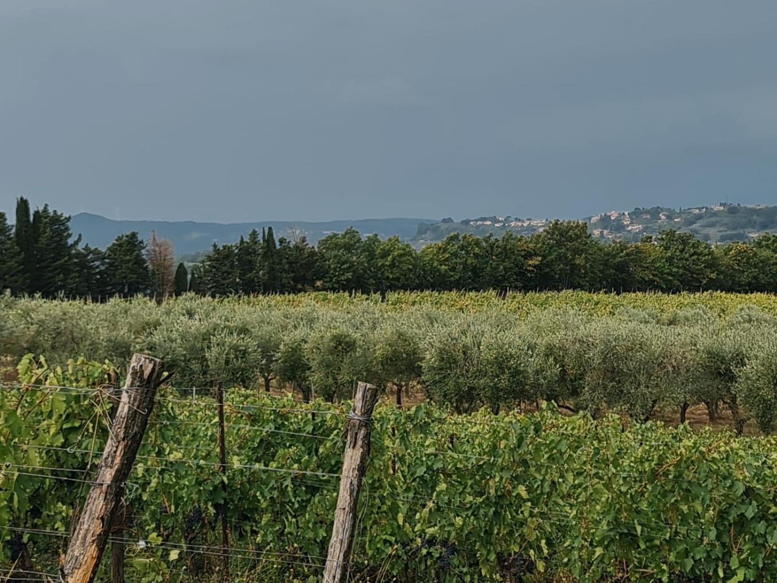 Podere Borgaruccio