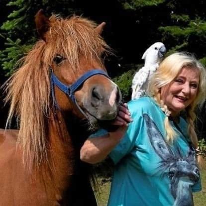 The parrot hotel, live in a rescue animal park view 3