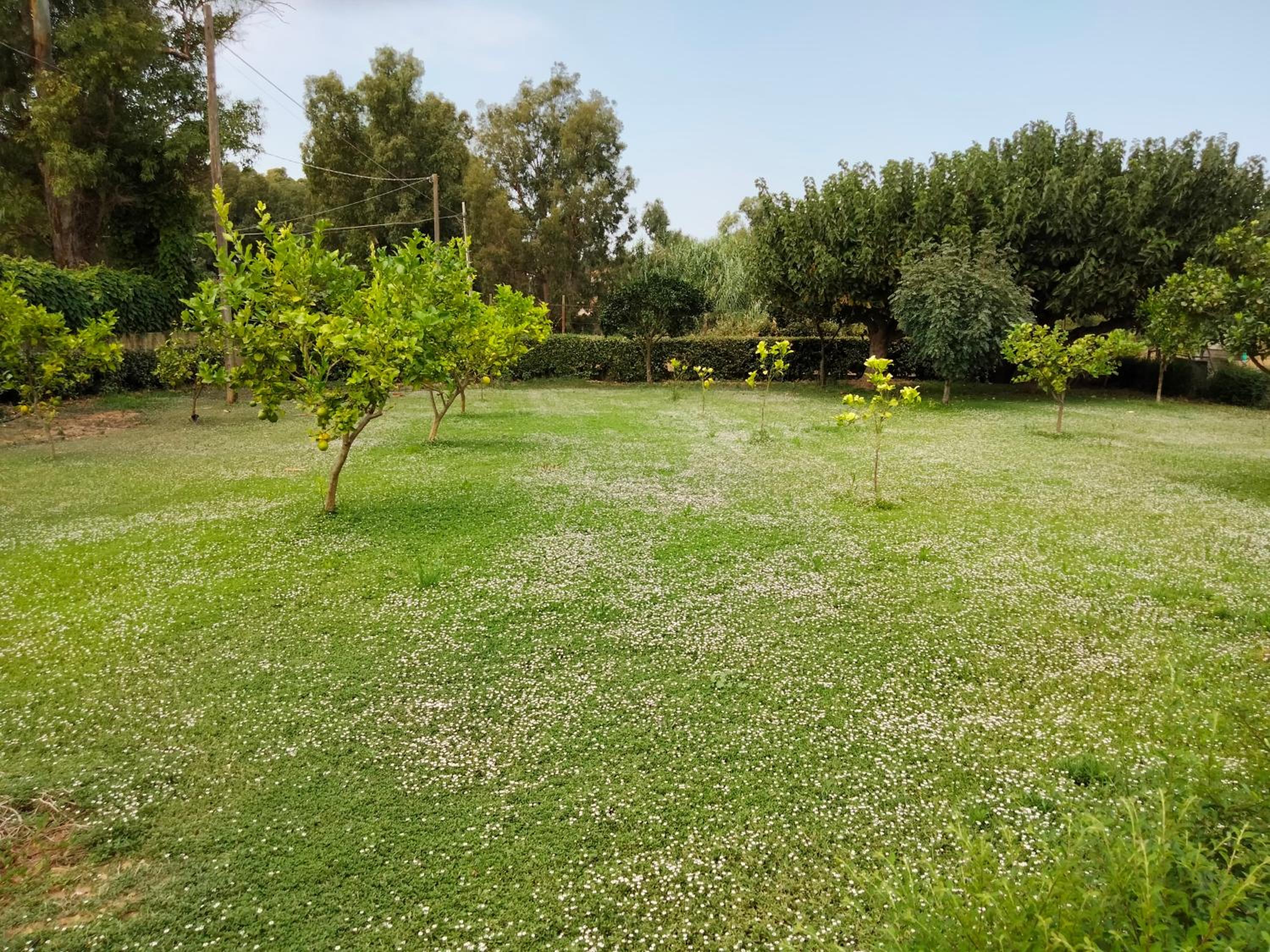 Agriturismo i doni del mandorlo view 4