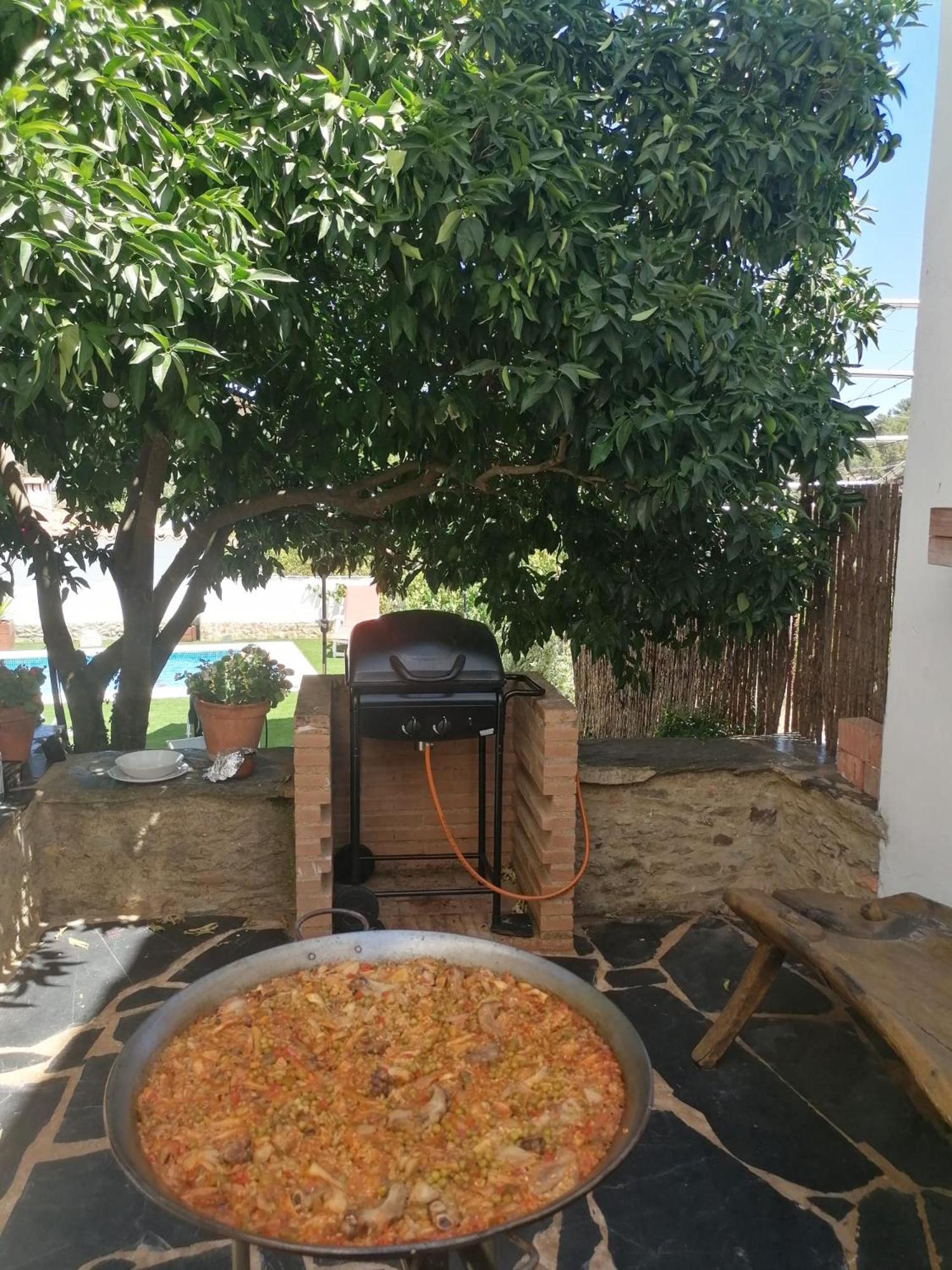 Casa Rural El Olivo