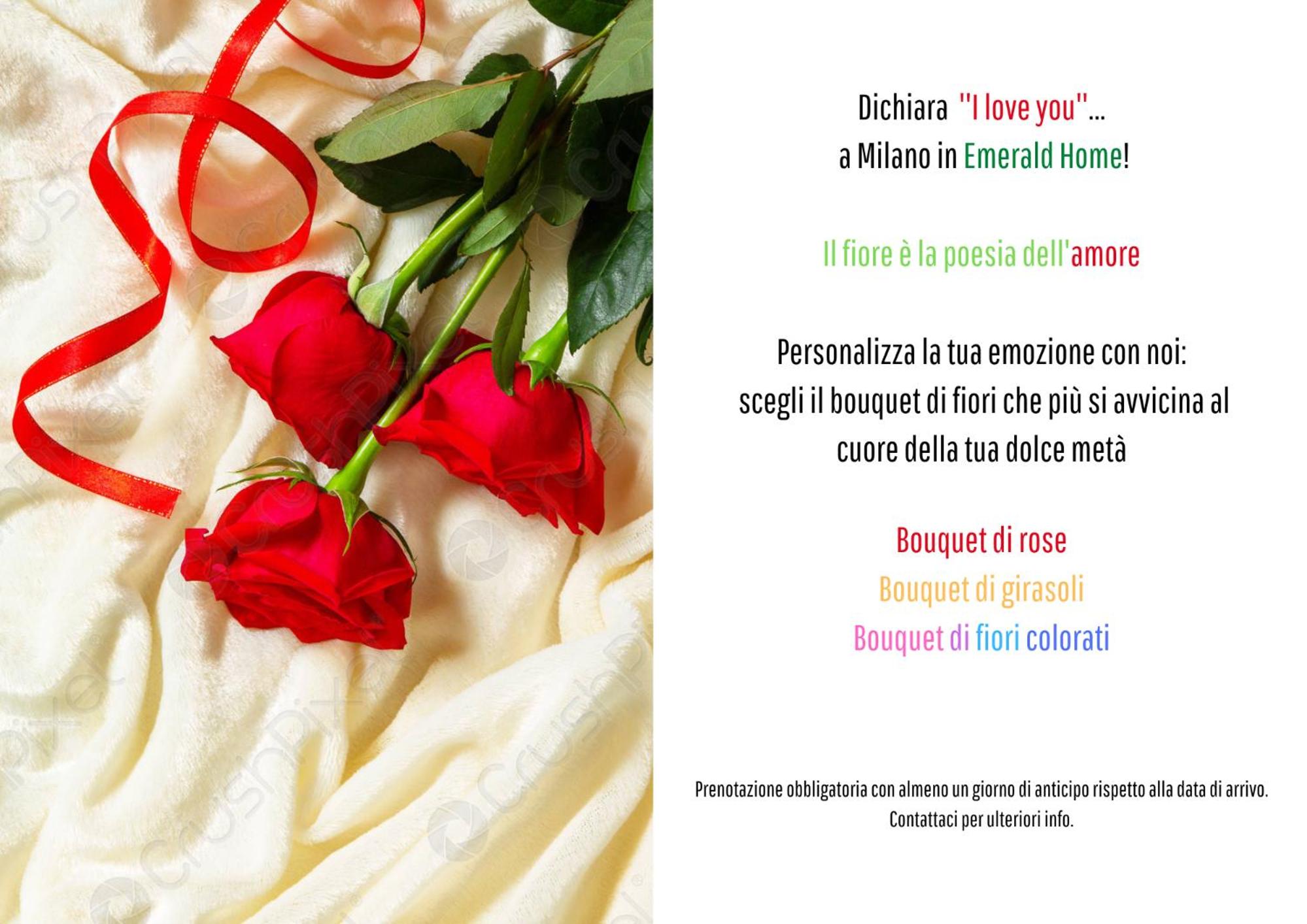 Milan Emerald Home ''Wifi & Self Check-in''