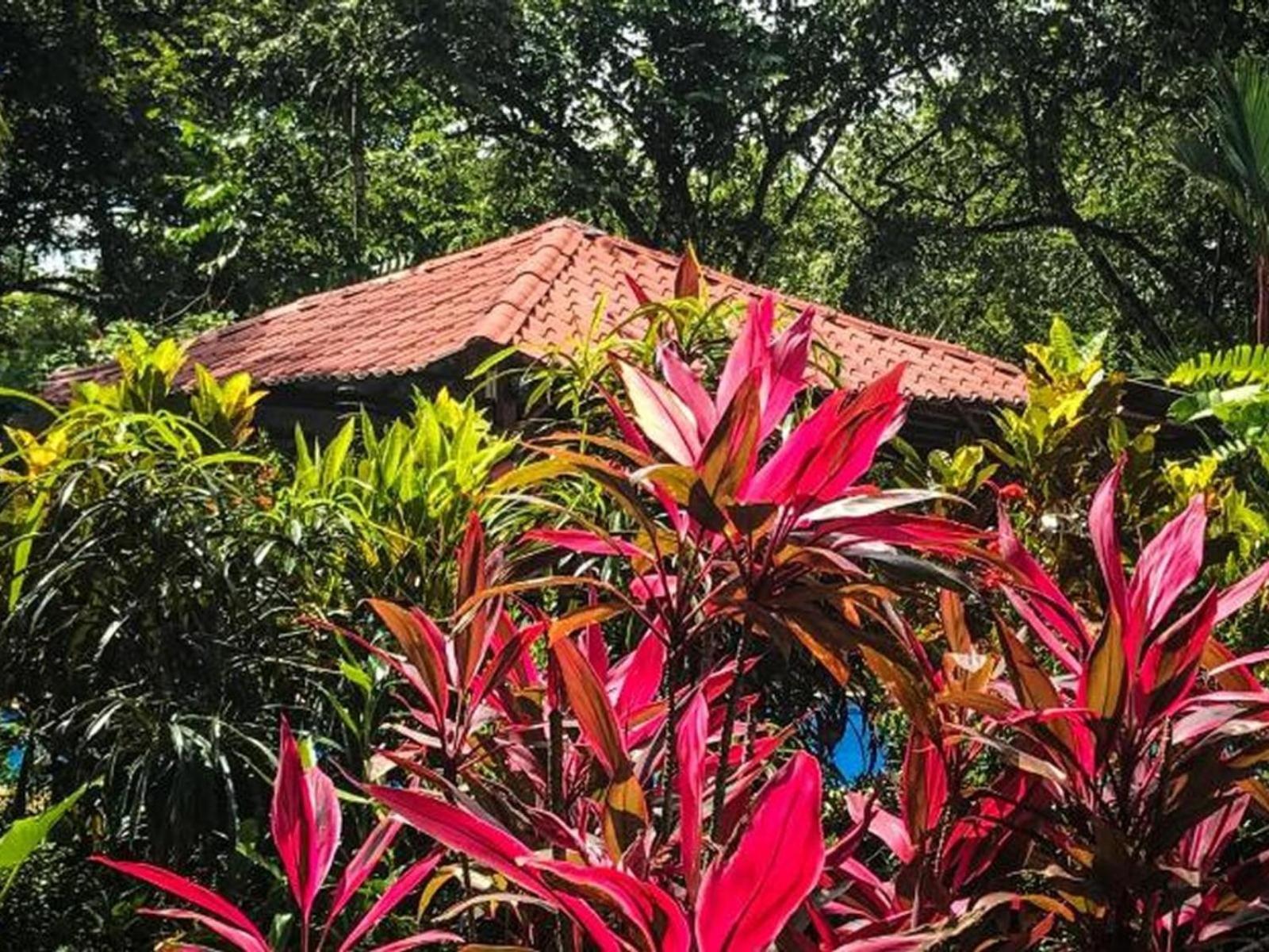 Casa Colores