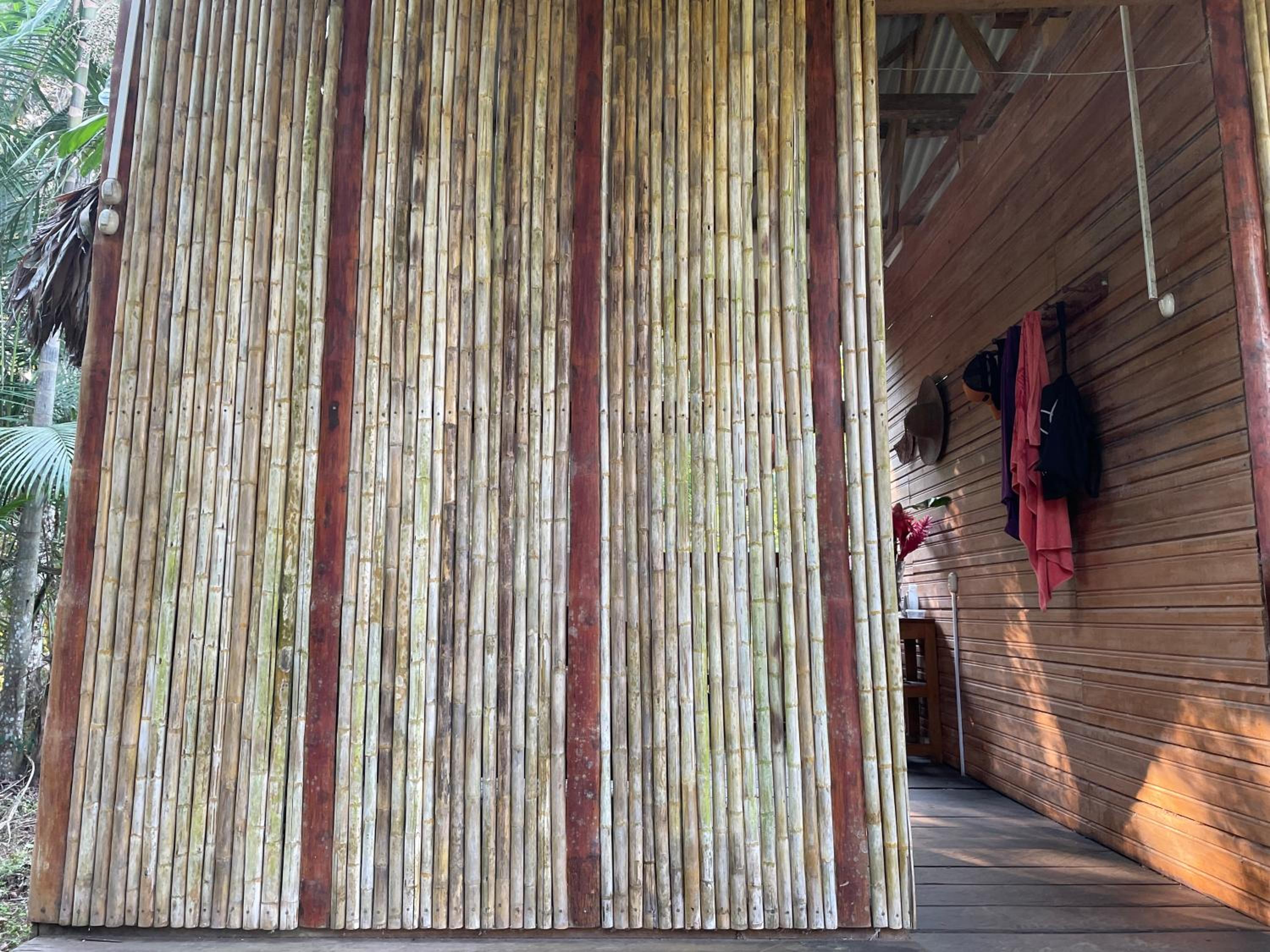 Homestay Oropendola tambopata
