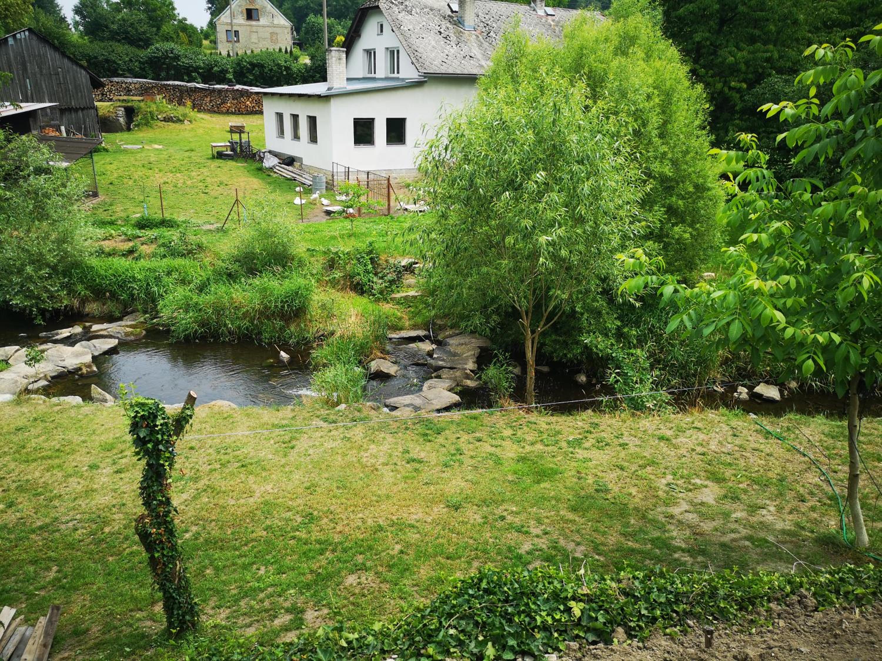 Maciejówka