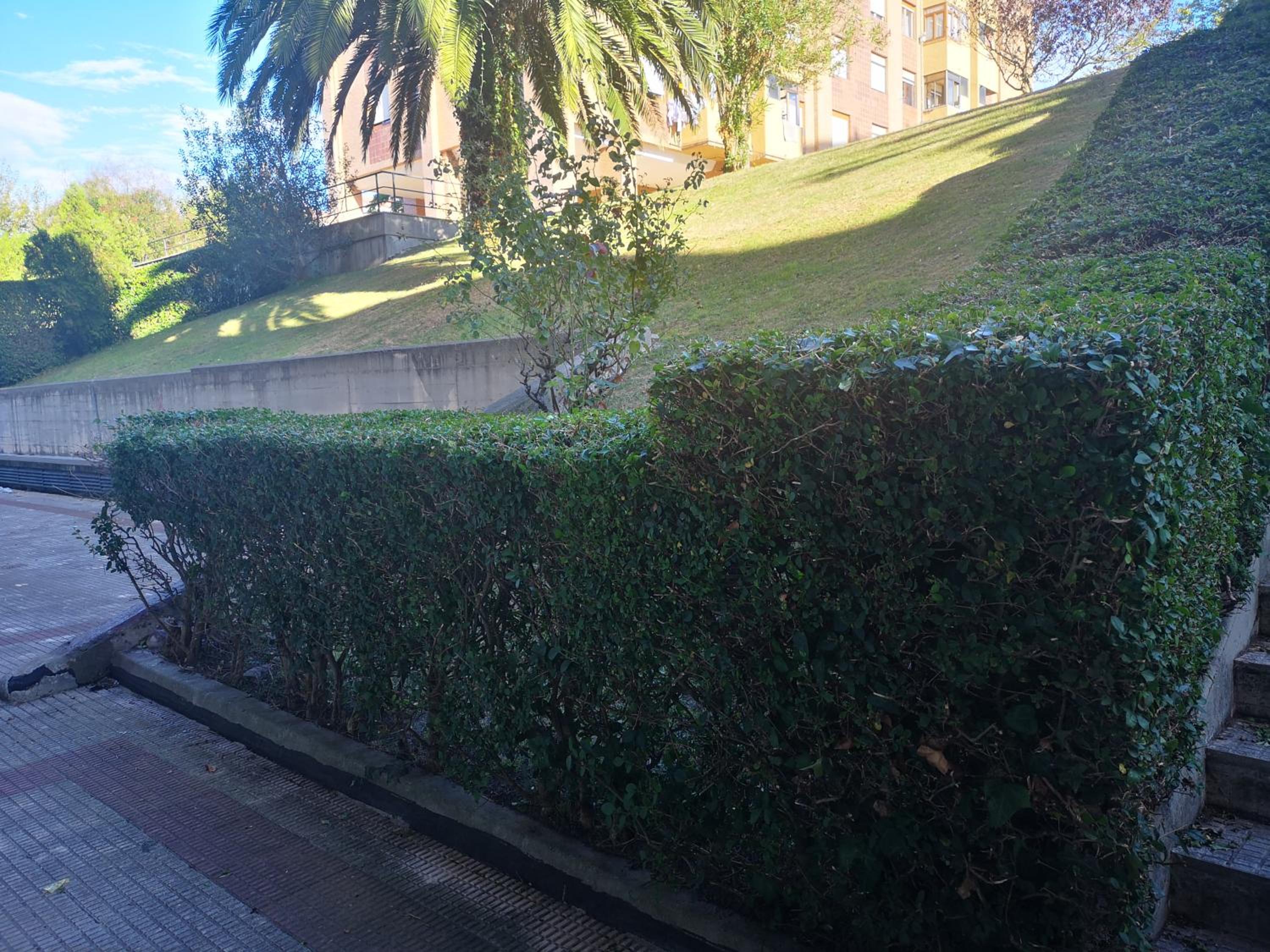 Hostel de las Facultades