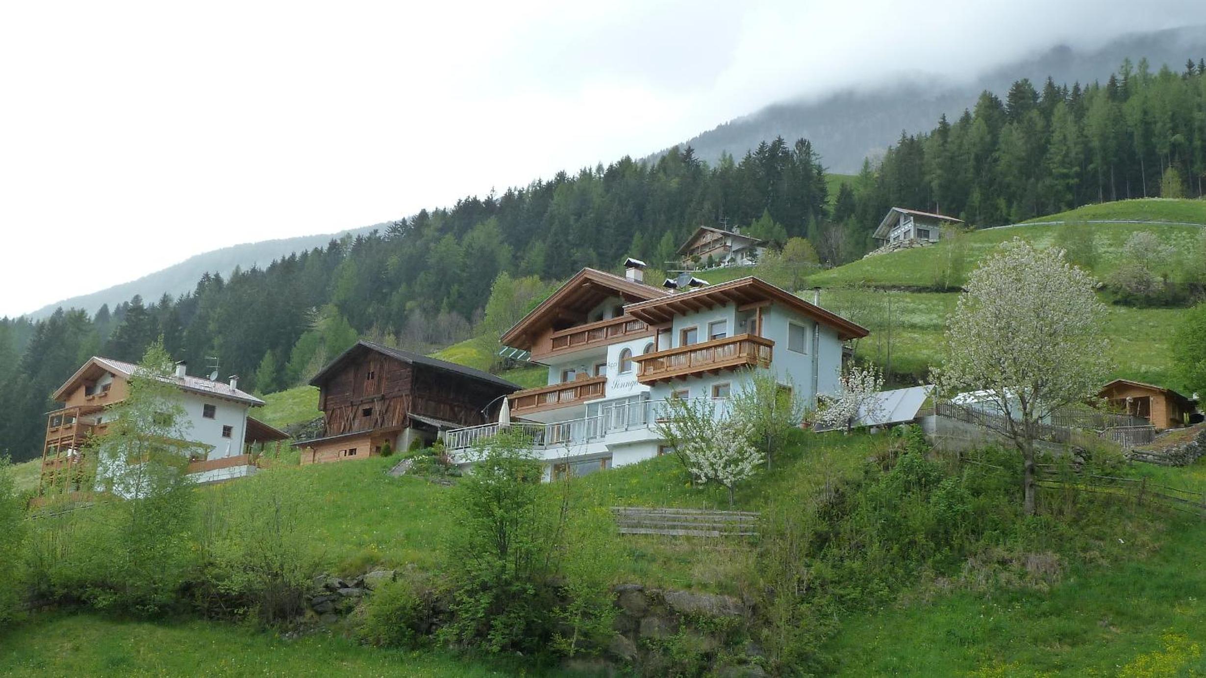 Photo 40