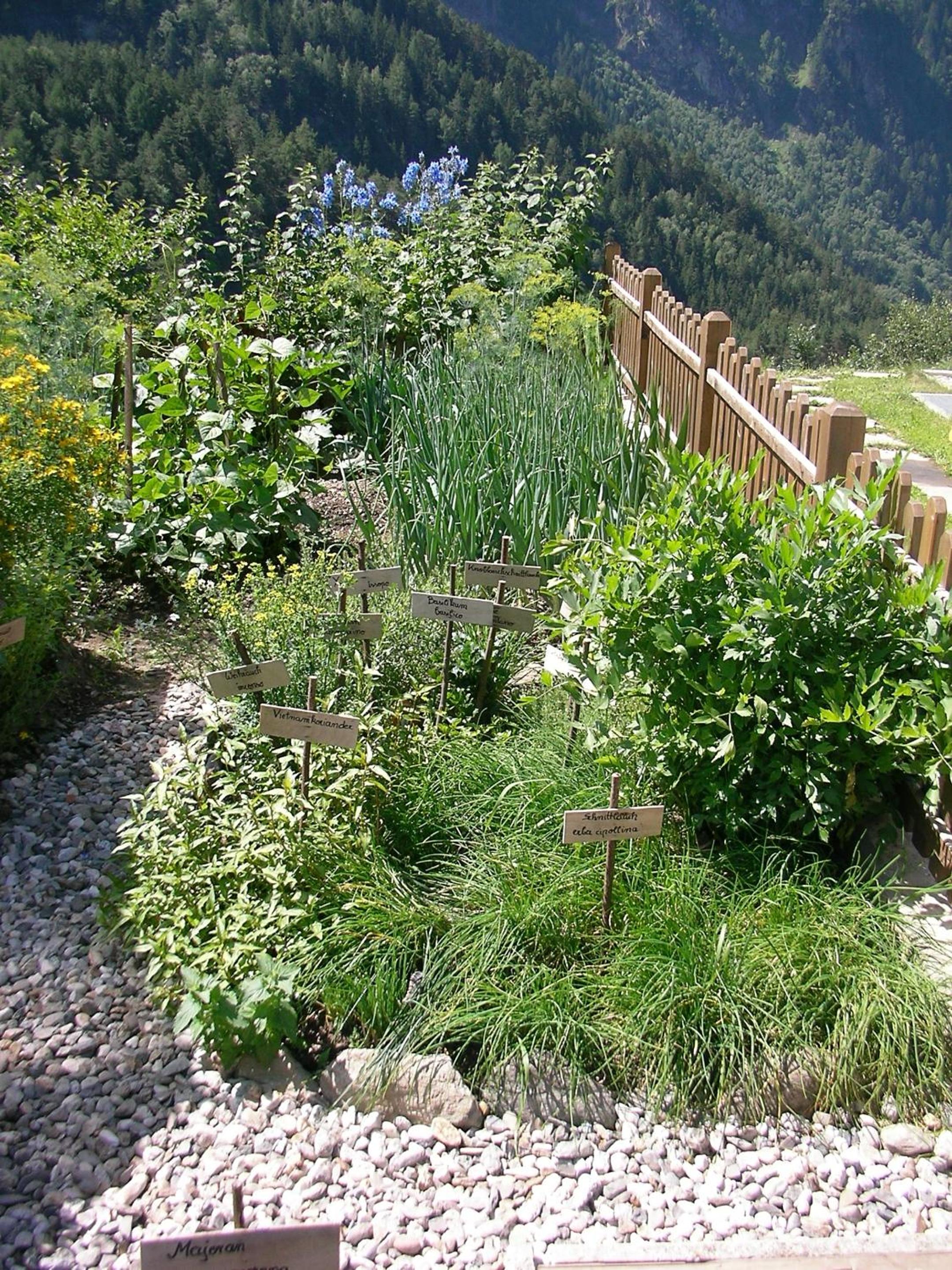 Photo 26