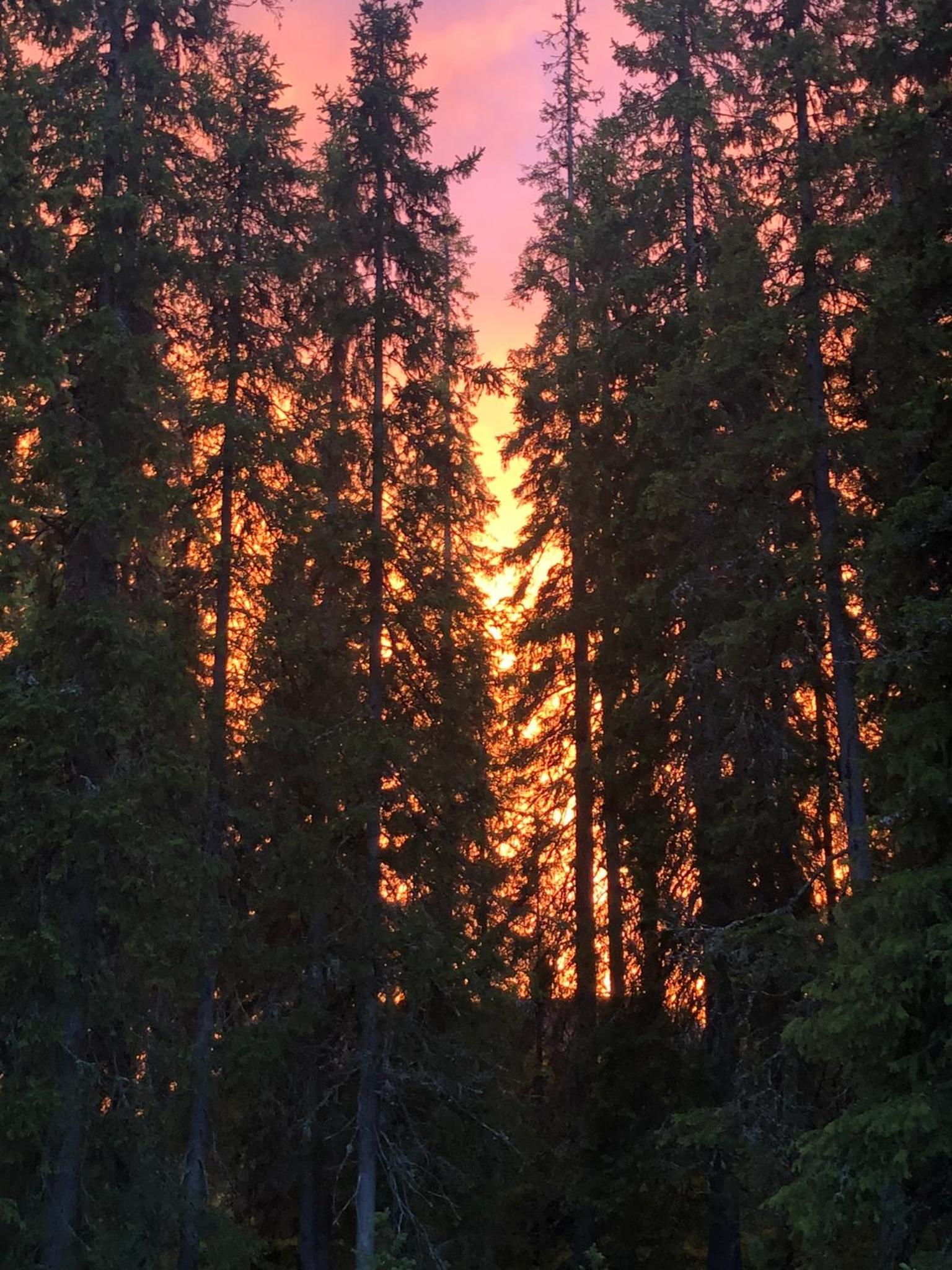 Rukan Rinnetie en Ruka