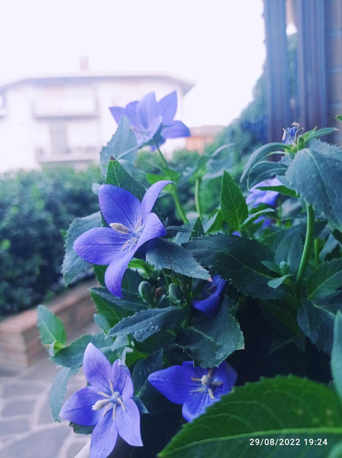 La casa di Cristina