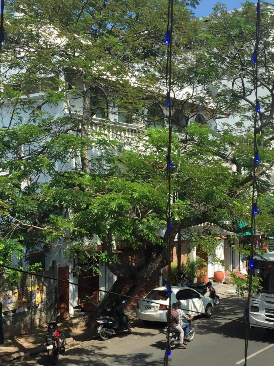 La Maison Pondichéry view 2