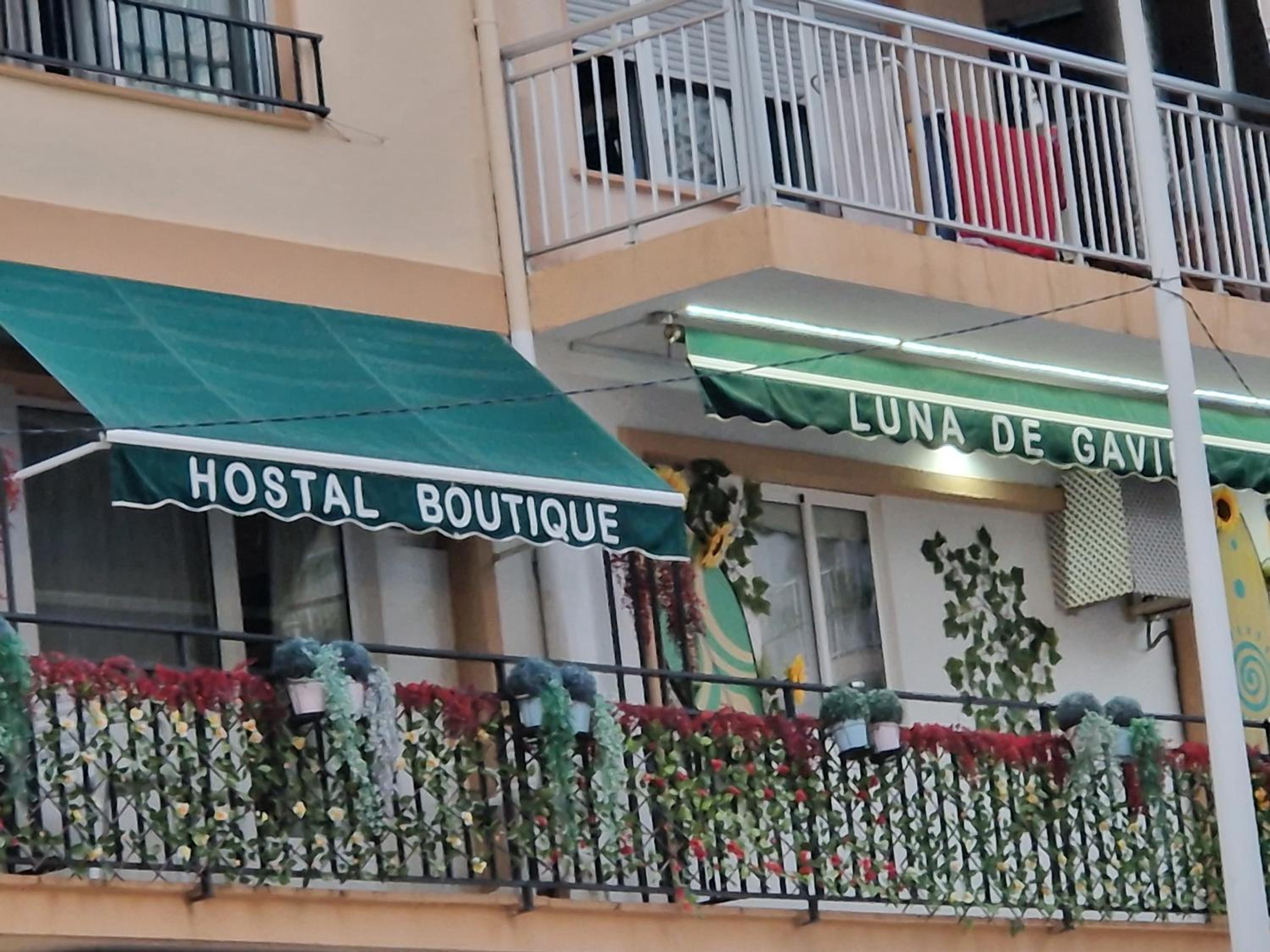 Hostal Boutique Luna de Gavín view 5