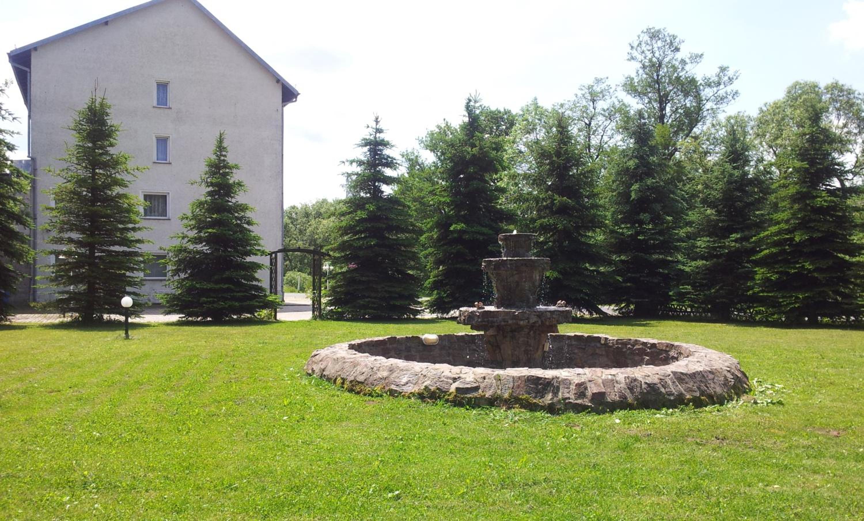 Photo 7