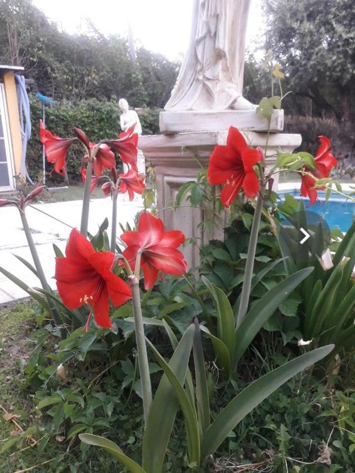Rincón Spa Seule