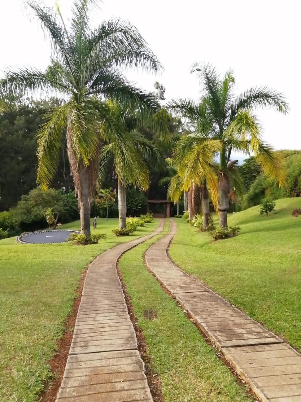 casa calima
