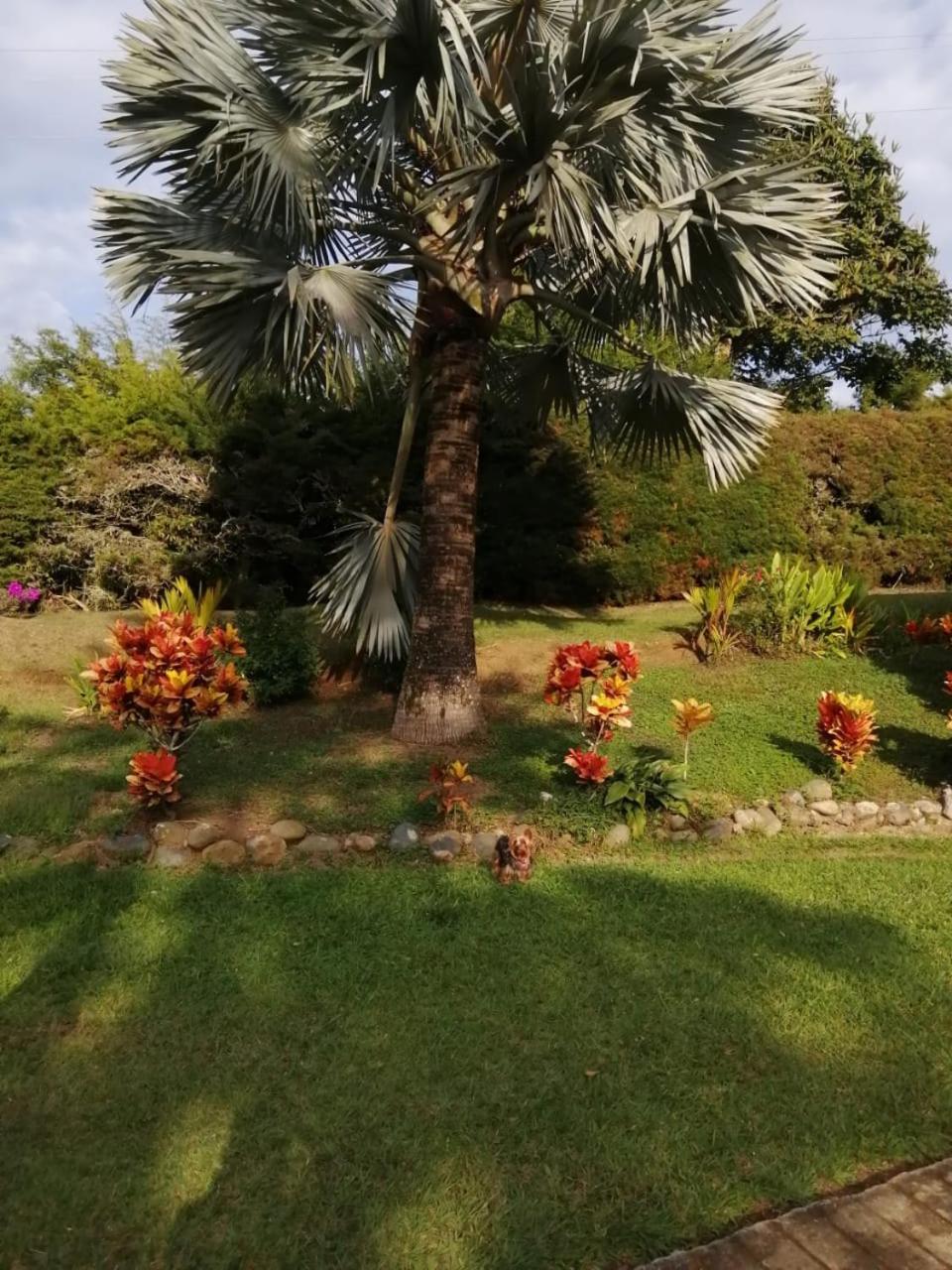 casa calima