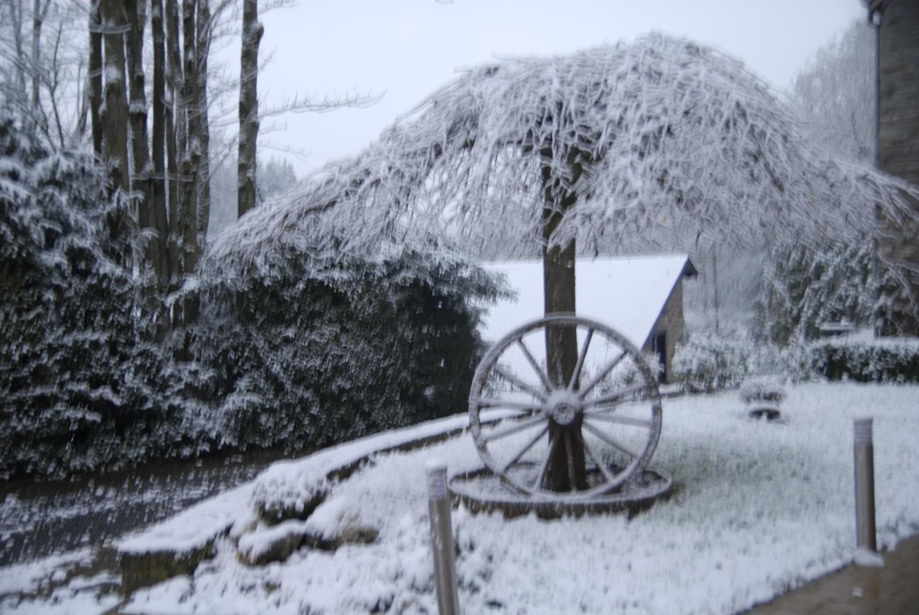 Le Clos Arboré (Gîte)