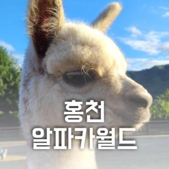 Heidi Korea